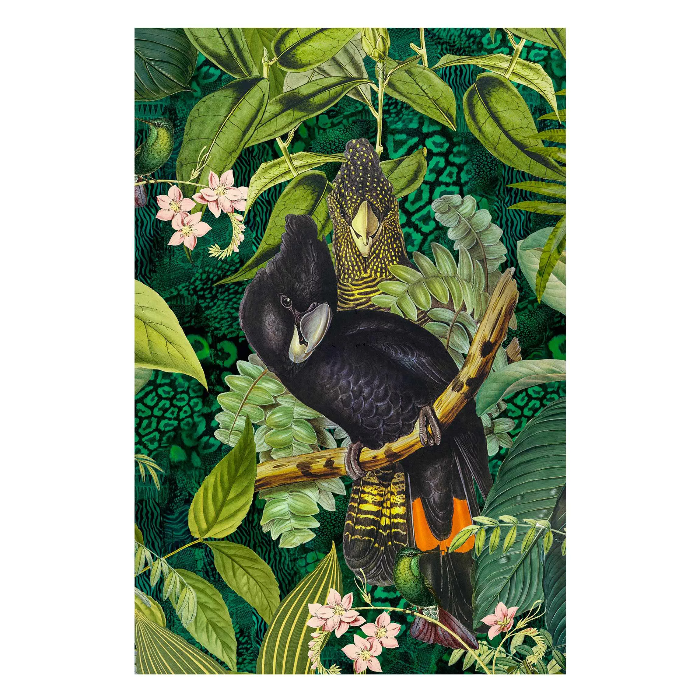 Magnettafel Bunte Collage - Kakadus im Dschungel günstig online kaufen