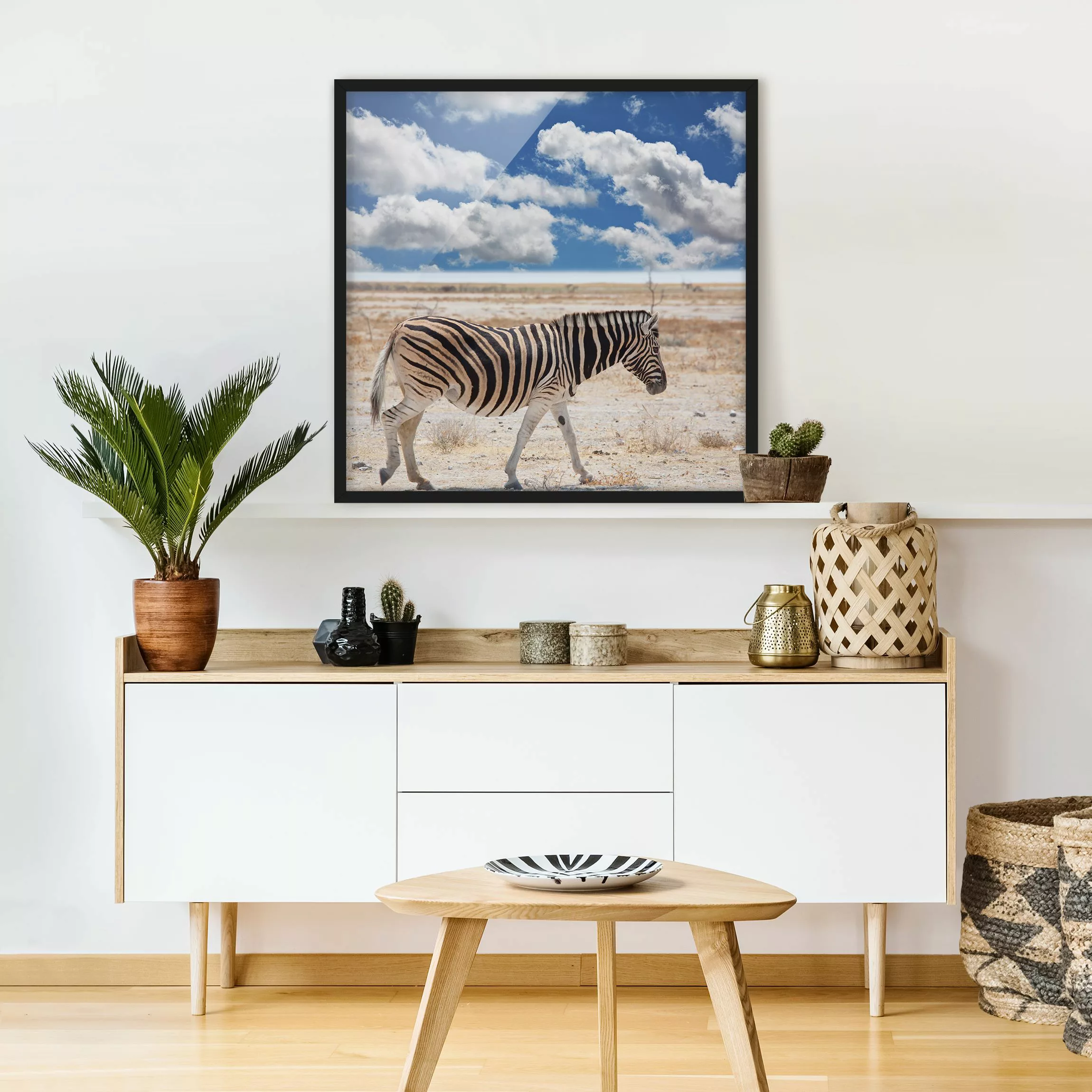 Bild mit Rahmen Tiere - Quadrat Zebra in der Savanne günstig online kaufen