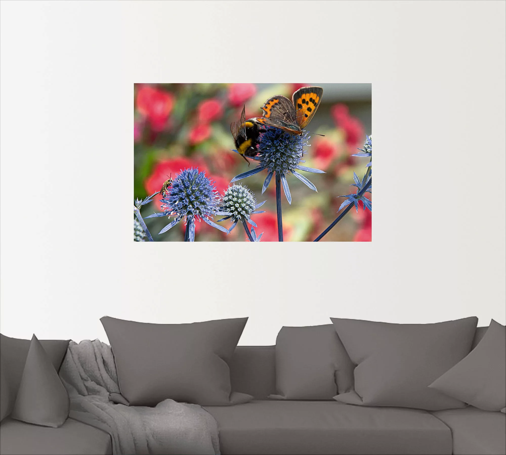 Artland Wandbild »Kleiner Feuerfalter und Hummel«, Insekten, (1 St.) günstig online kaufen