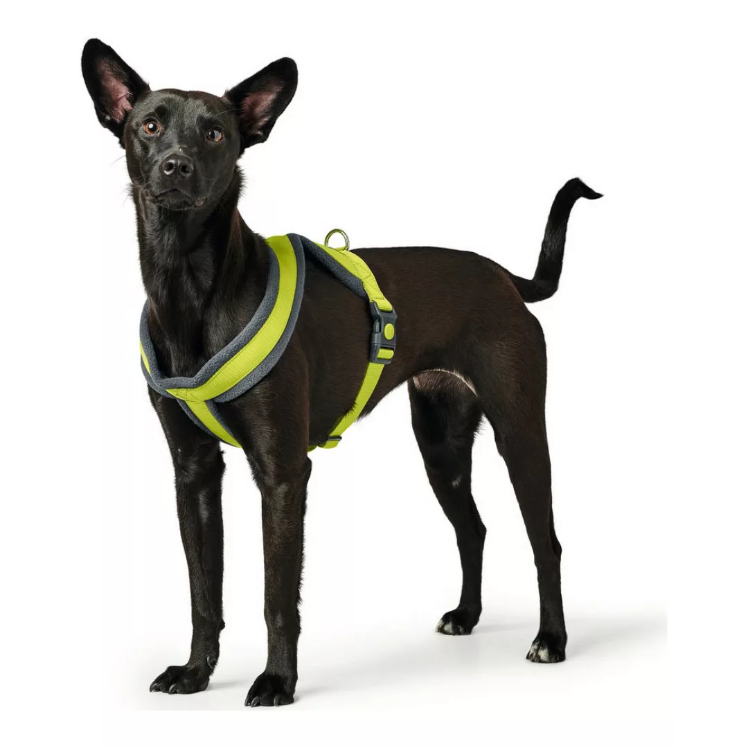 Hunter Tierbedarf Hunde-Geschirr Geschirr London Comfort günstig online kaufen