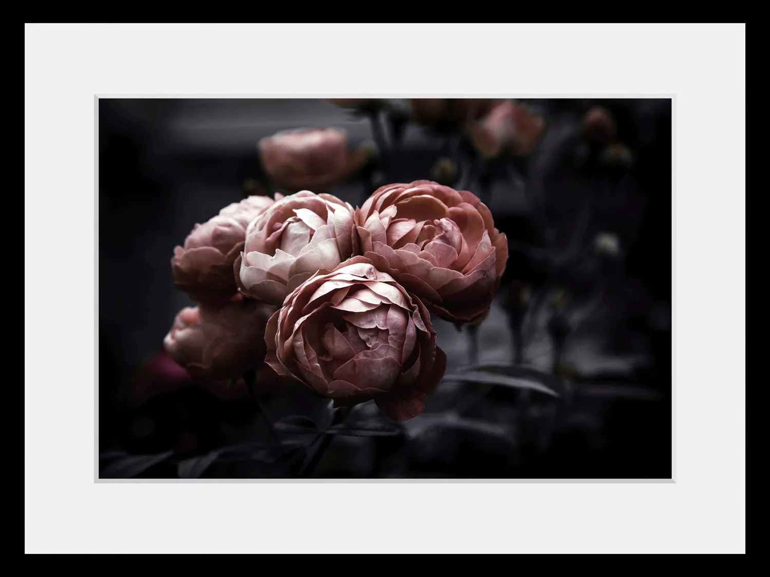 queence Bild "Tabea", Blumen, (1 St.) günstig online kaufen