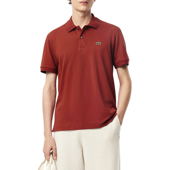 Lacoste  T-Shirts & Poloshirts - günstig online kaufen