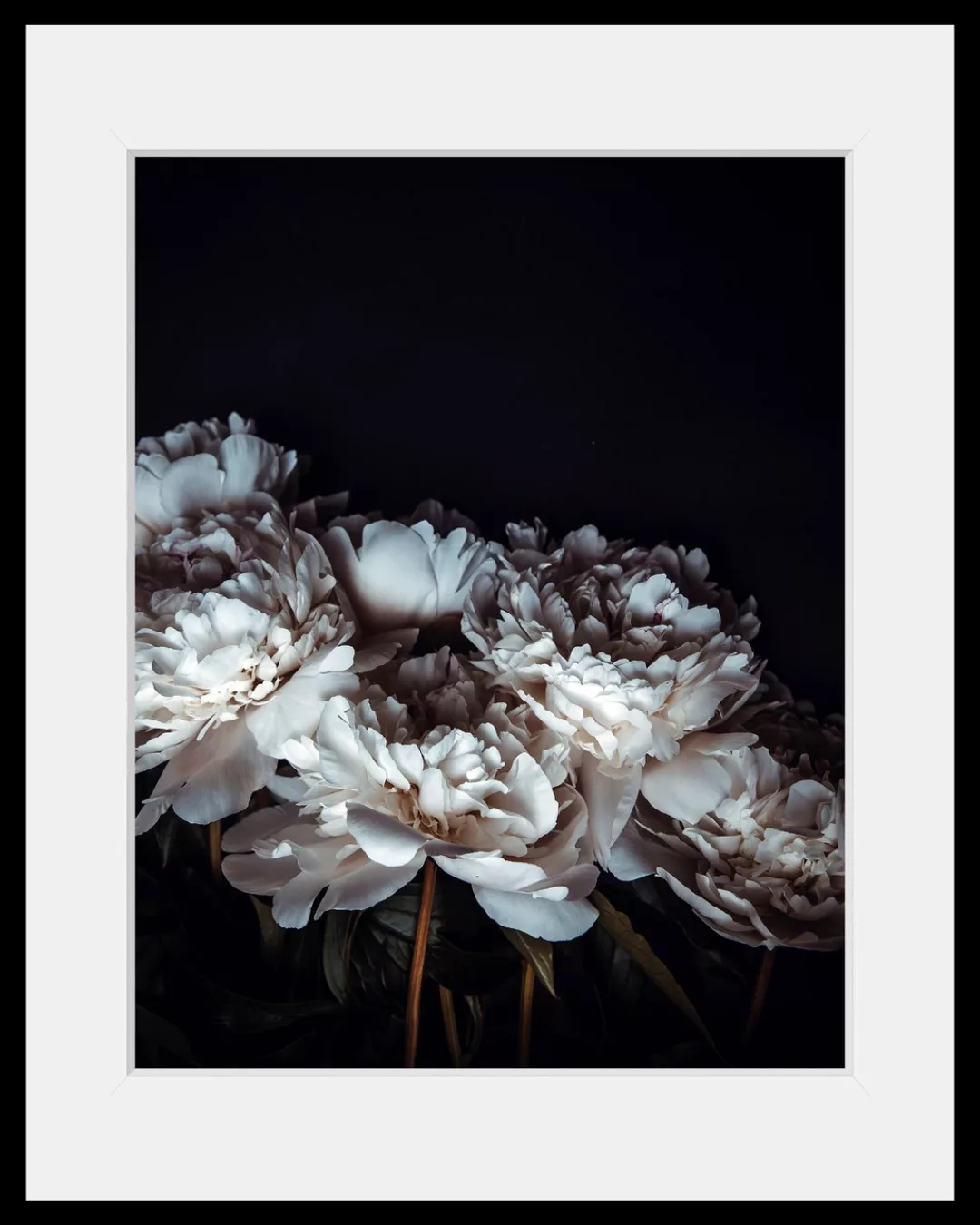 queence Bild »Ella«, Blumen, (1 St.) günstig online kaufen