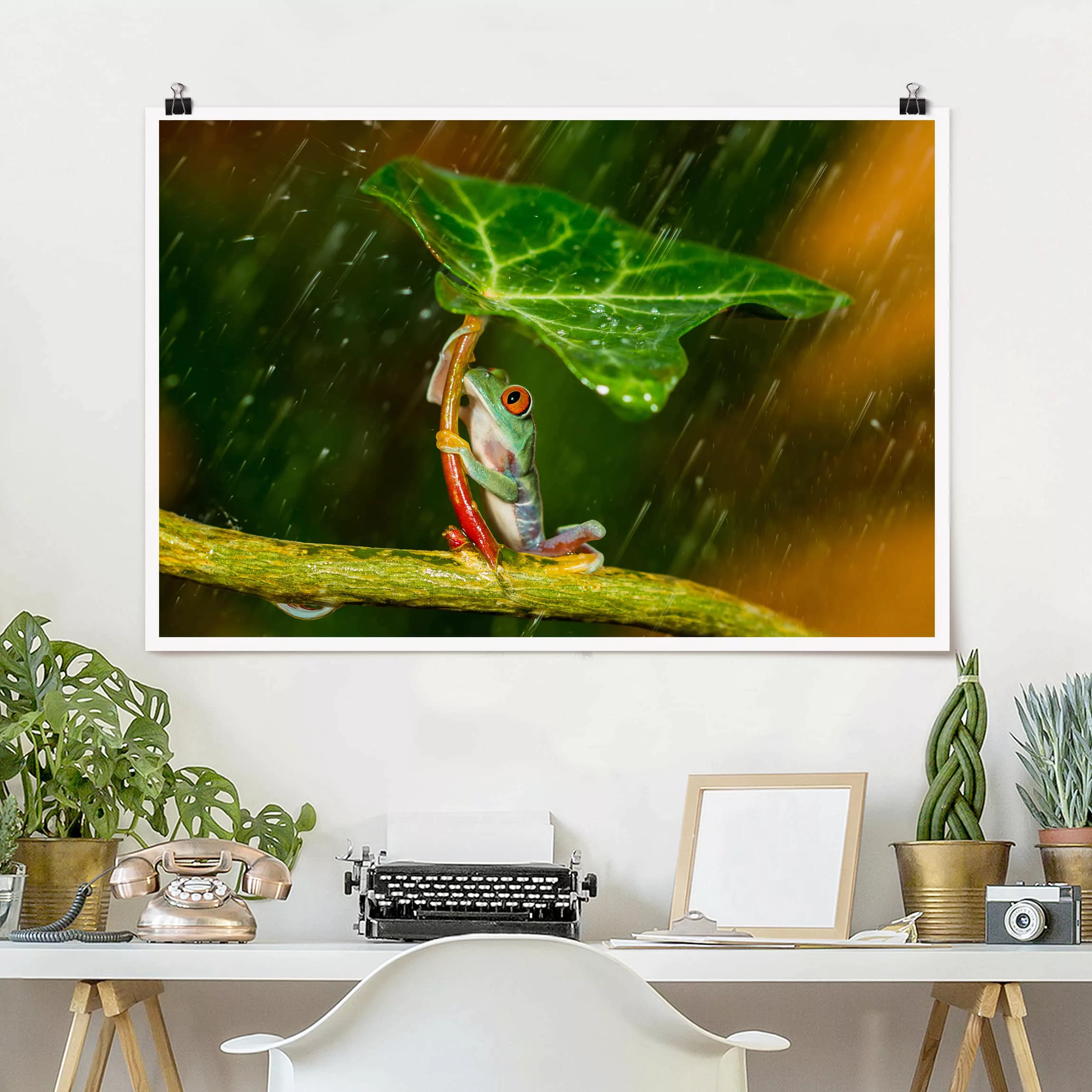 Poster Tiere - Querformat Ein Frosch im Regen günstig online kaufen