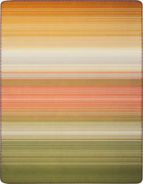 Biederlack Wohndecke »Wohndecke Woodland«, 150 x 200, mit Zierstich günstig online kaufen