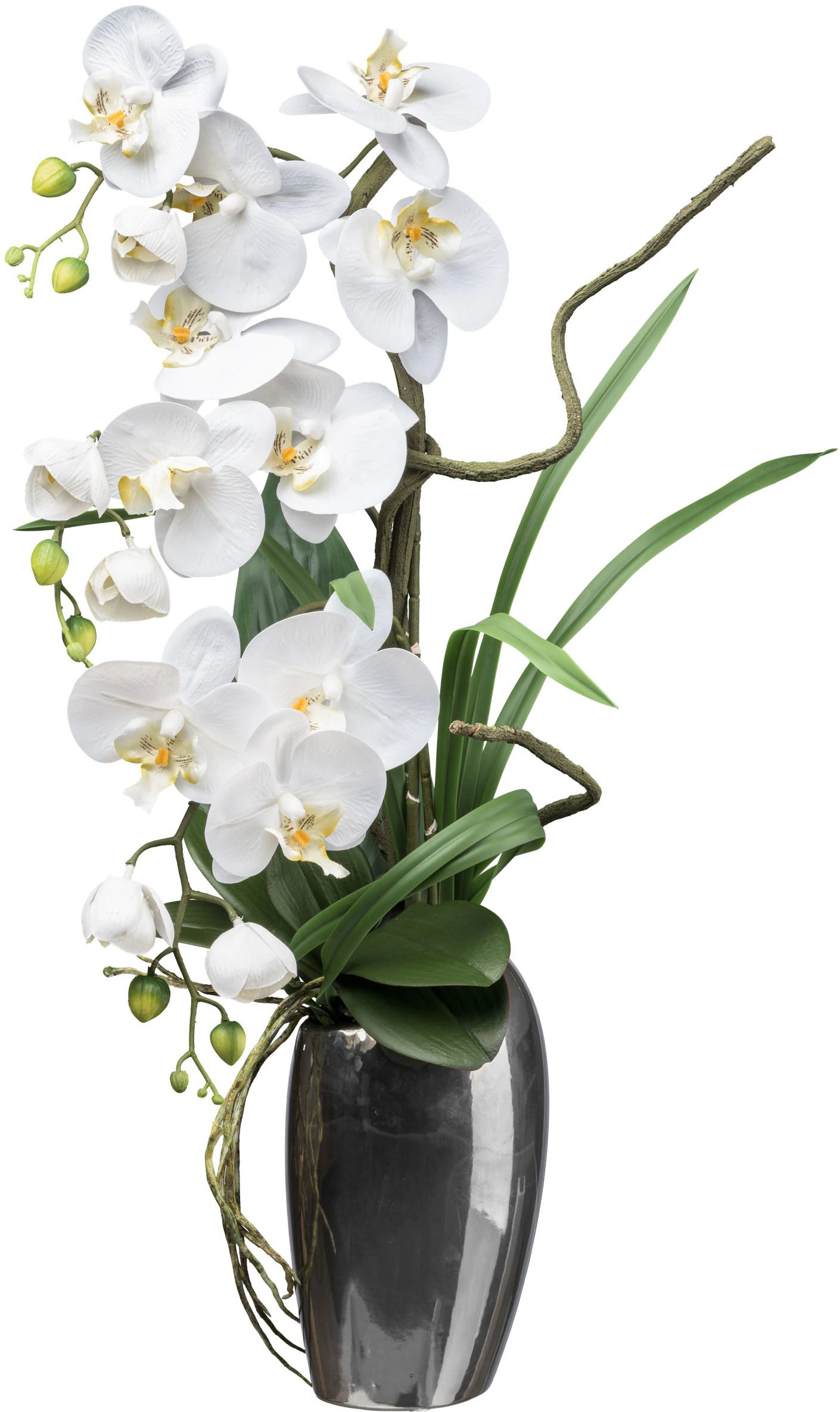 Creativ green Kunstorchidee "Orchidee Phalaenopsis", mit real-touch-Blüten günstig online kaufen