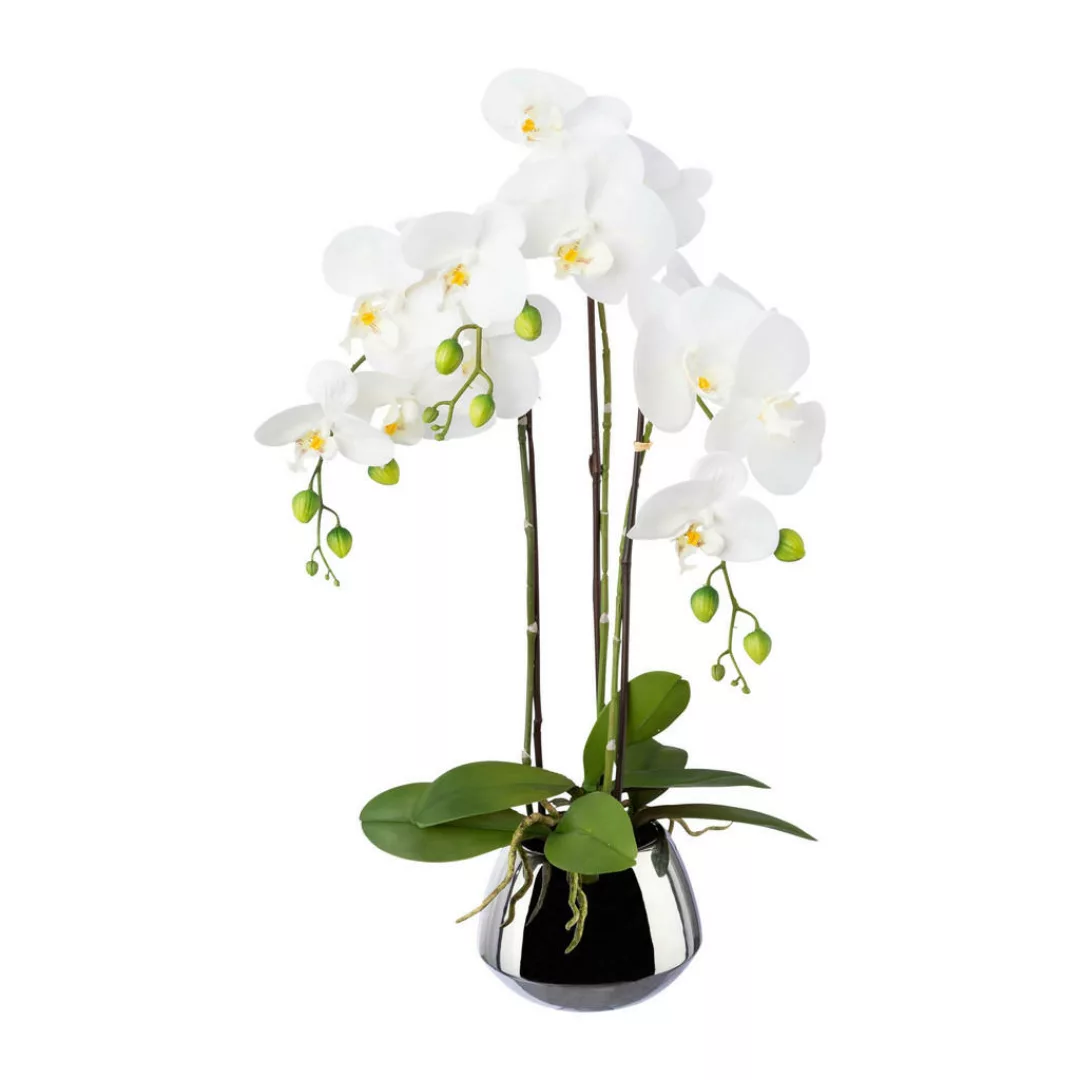 Kunstpflanze Phalaenopsis weiß Kunststoff B/H/L: ca. 17x55x17 cm günstig online kaufen