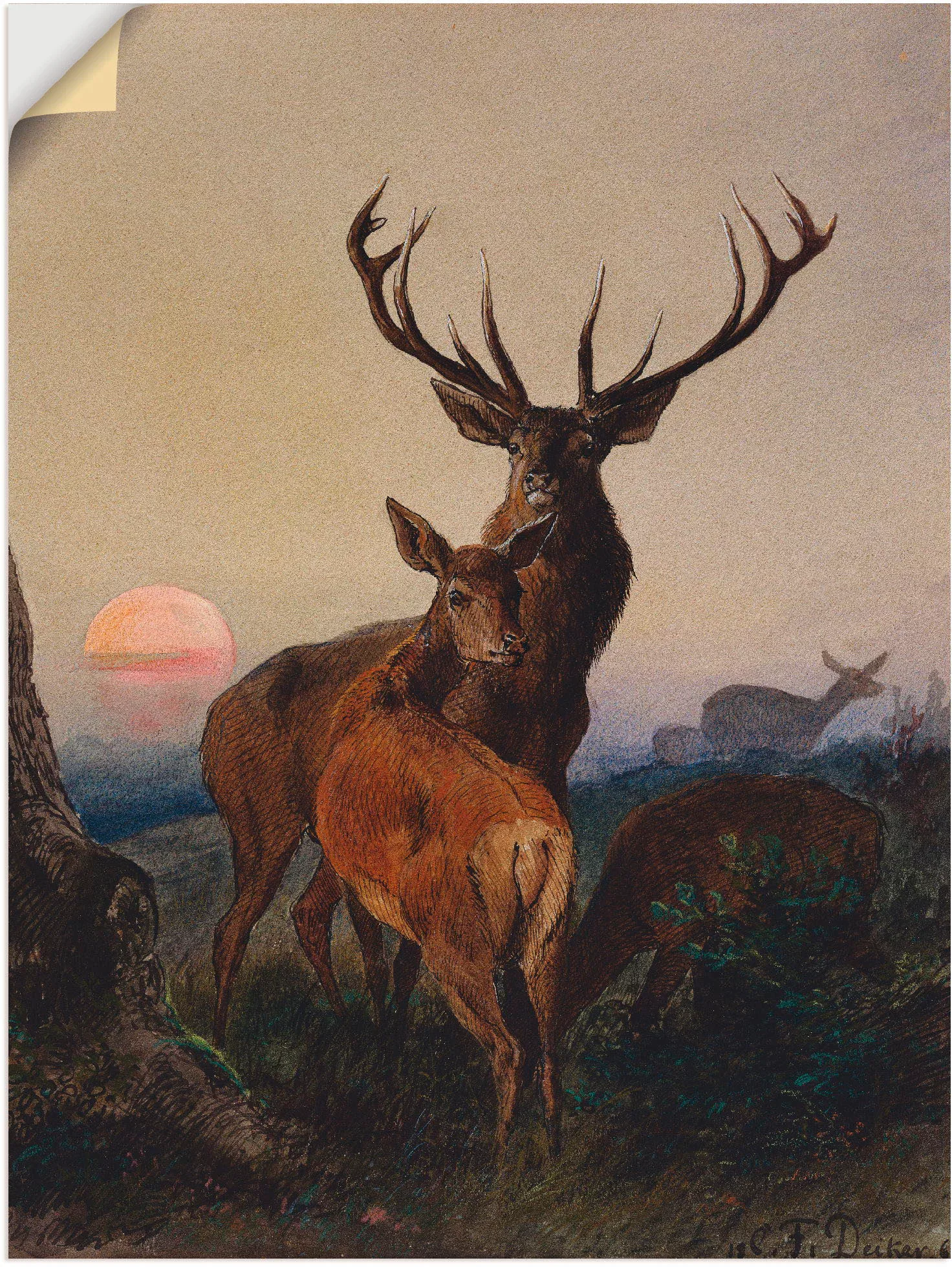 Artland Wandbild "Hirsch und ein Reh bei Sonnenuntergang", Wildtiere, (1 St günstig online kaufen