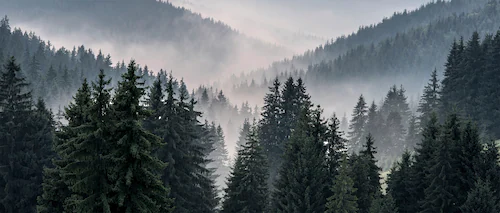 Bönninghoff Leinwandbild »Berglandschaft«, (1 St.) günstig online kaufen