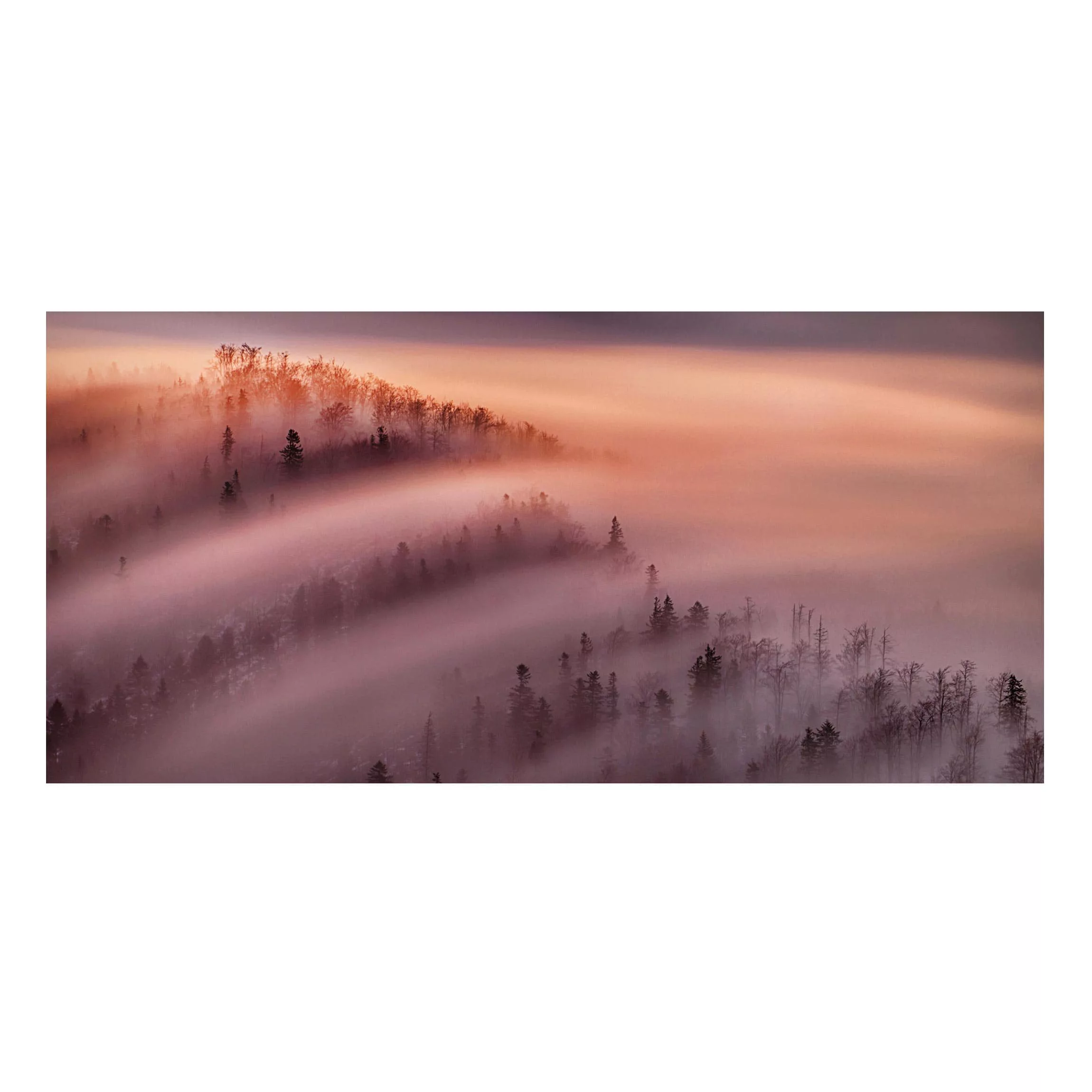 Magnettafel Natur & Landschaft - Querformat 2:1 Nebelflut günstig online kaufen