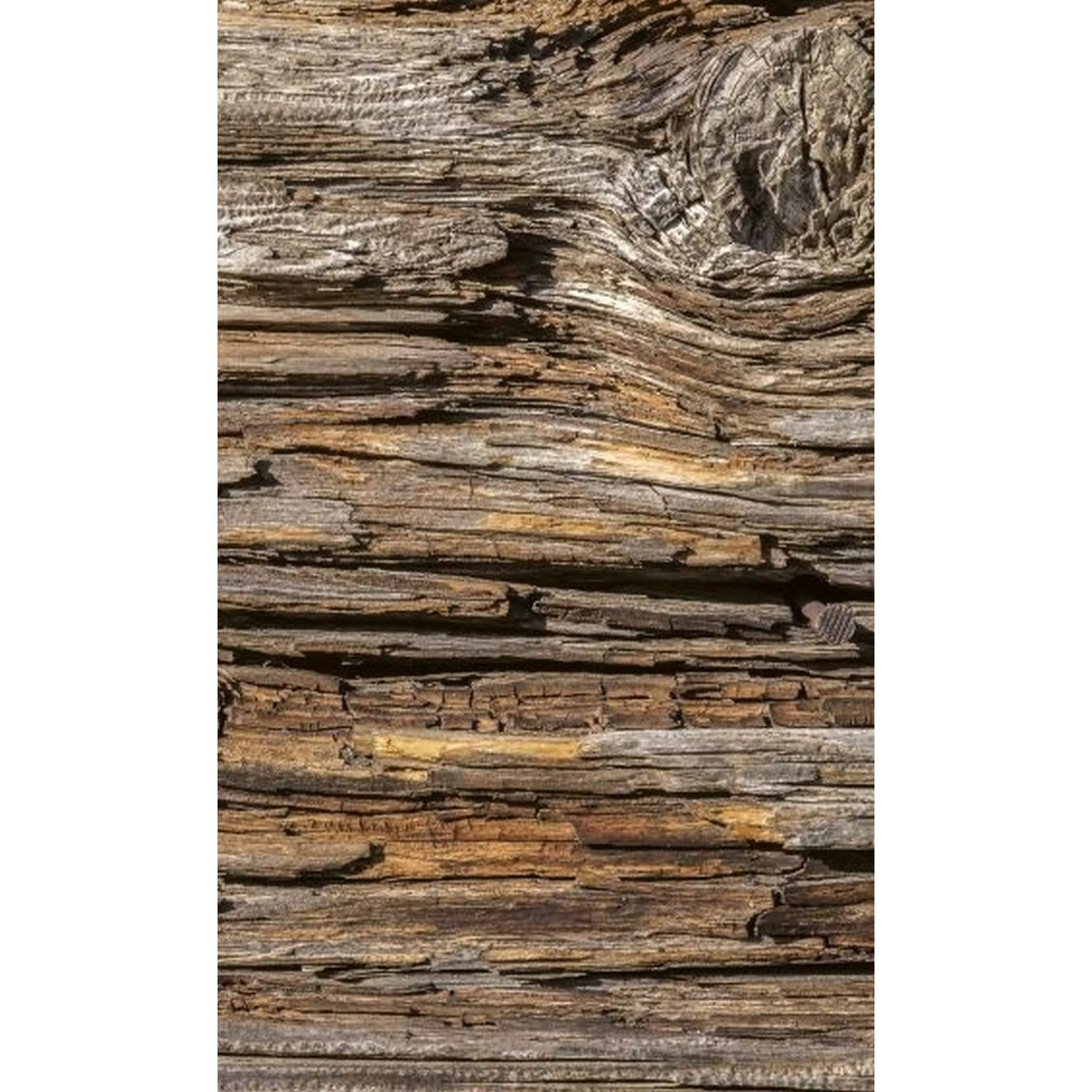 Fototapete TREE BARK | MS-2-0159 | Braun | Digitaldruck auf Vliesträger günstig online kaufen
