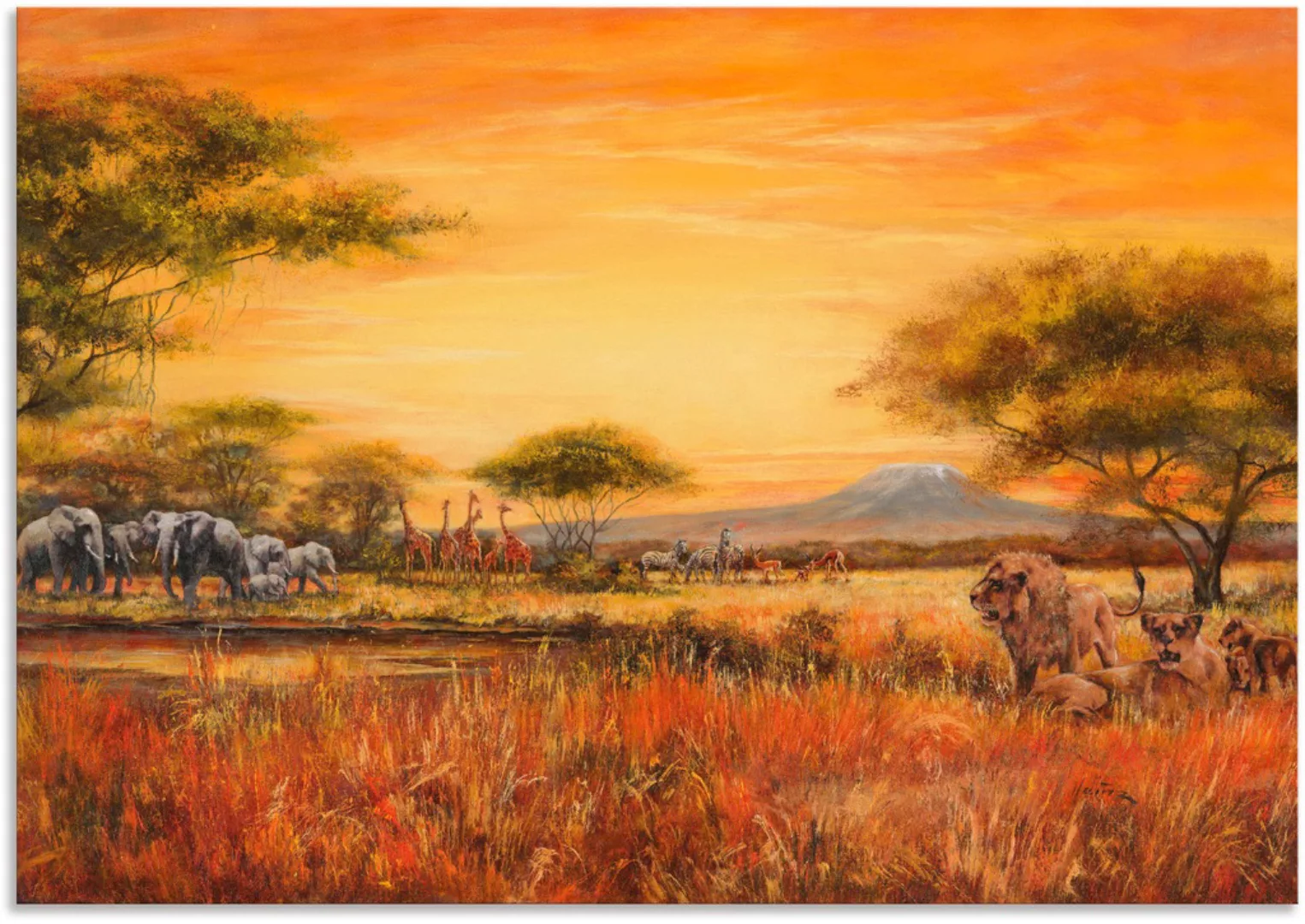 Artland Wandbild "Afrikanische Steppe mit Löwen", Afrika, (1 St.), als Alub günstig online kaufen