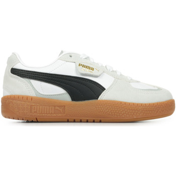 Puma  Sneaker Palermo Moda Wns günstig online kaufen