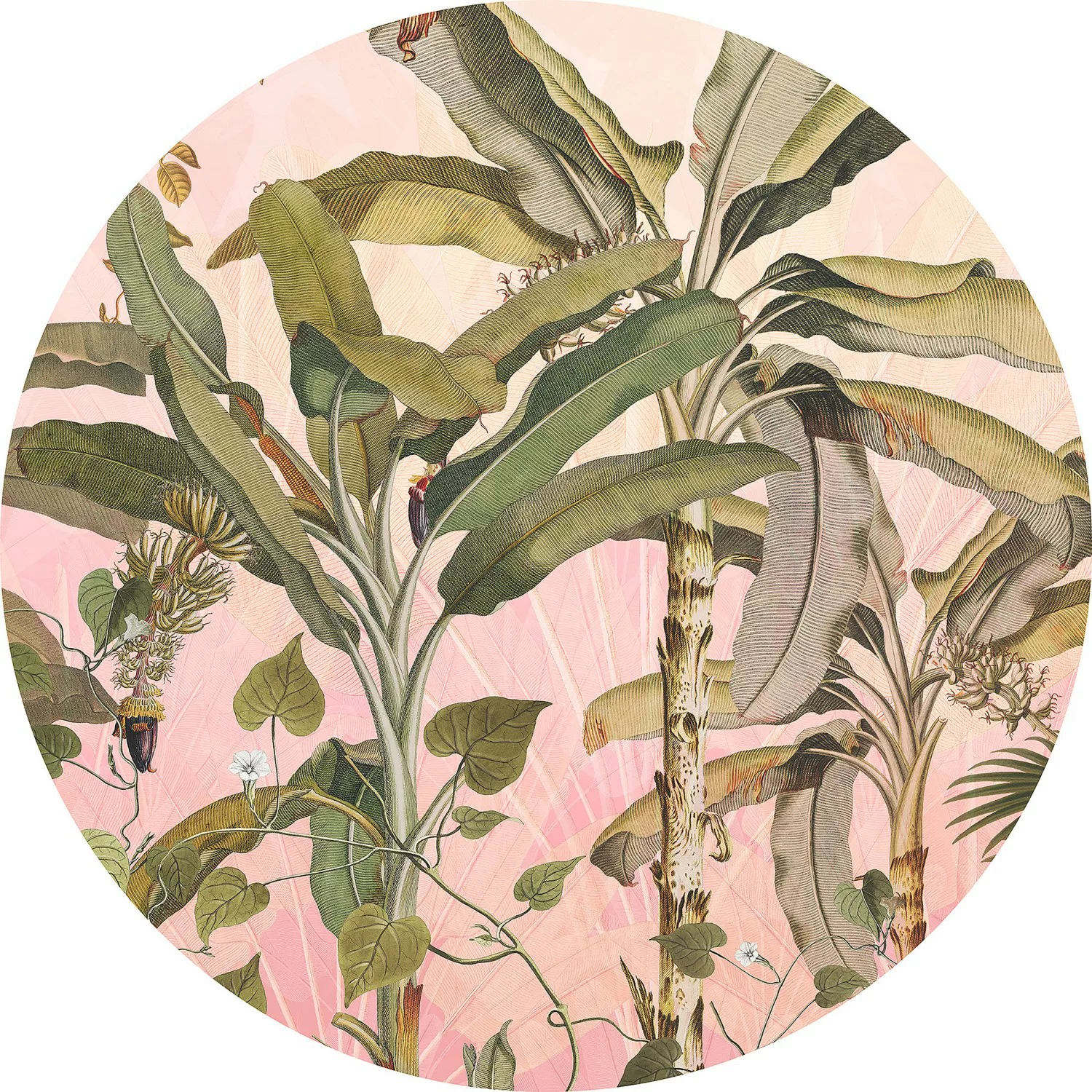 KOMAR Selbstklebende Vlies Fototapete/Wandtattoo - Botany - Größe 125 x 125 günstig online kaufen