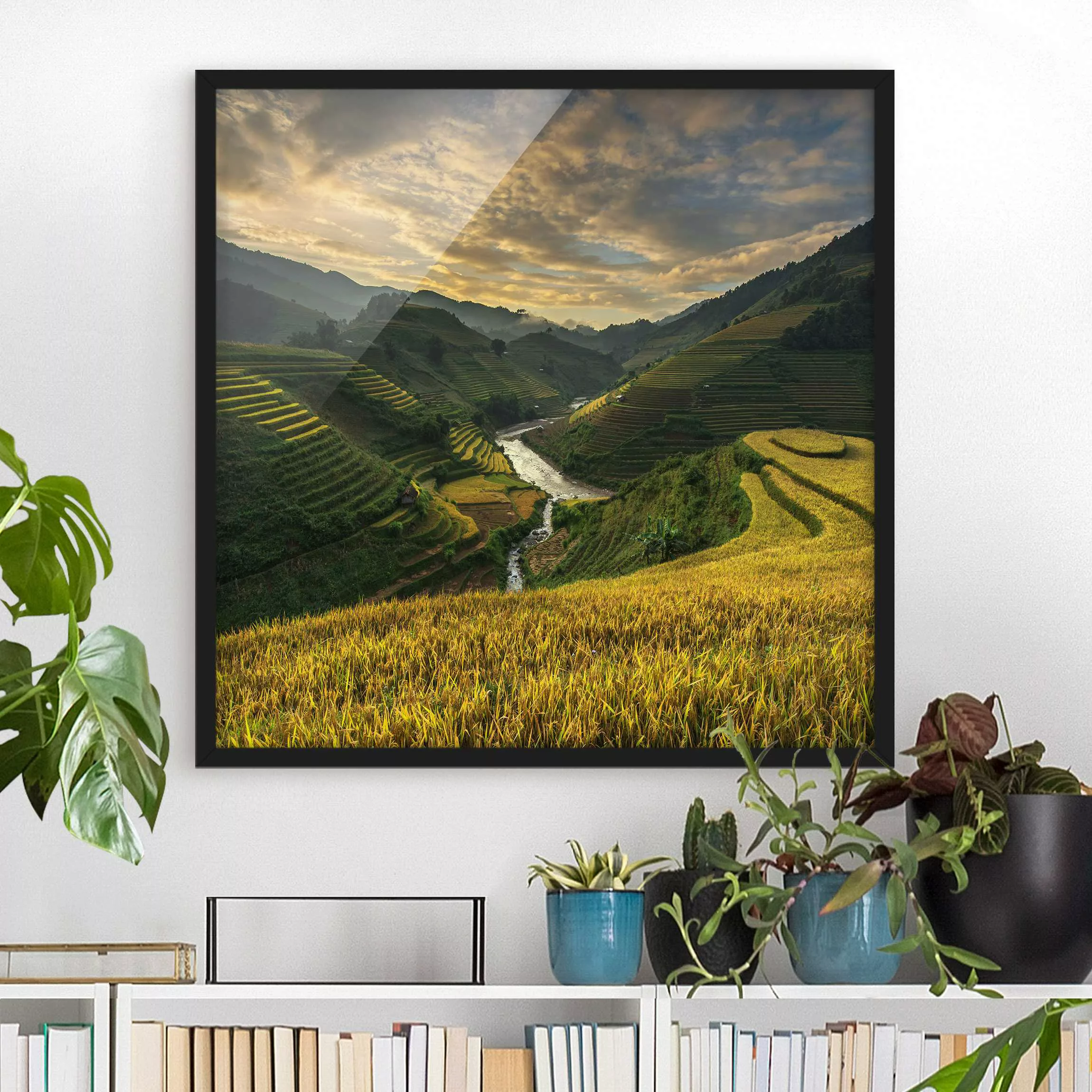 Bild mit Rahmen Natur & Landschaft - Quadrat Reisplantagen in Vietnam günstig online kaufen