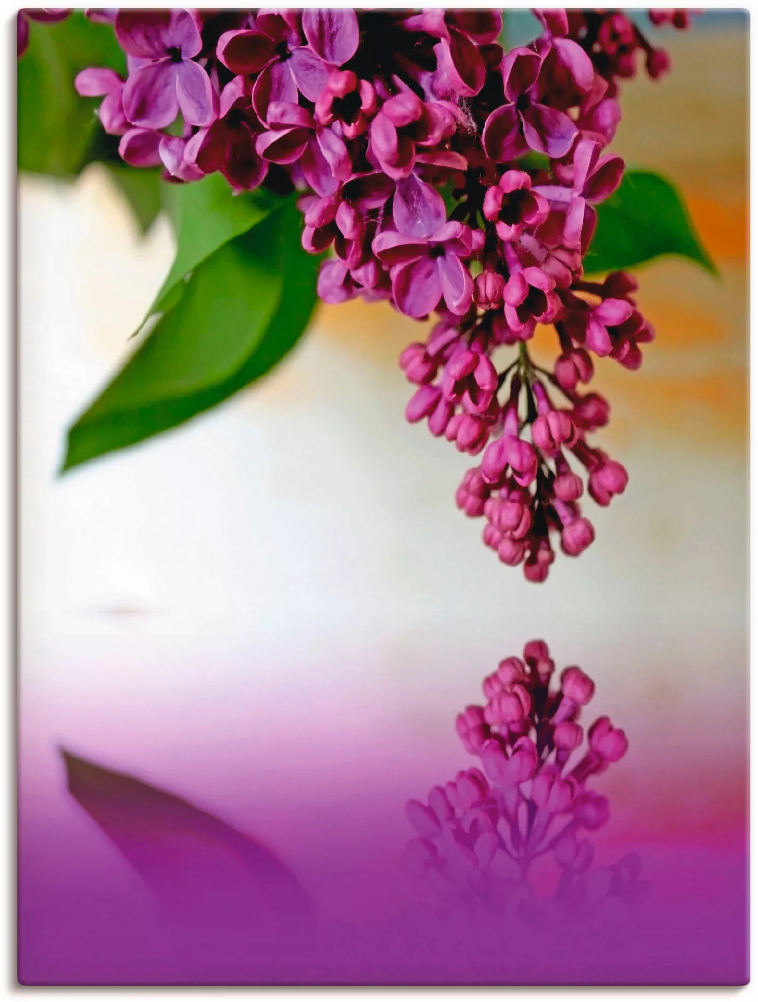 Artland Leinwandbild »Flieder«, Blumen, (1 St.), auf Keilrahmen gespannt günstig online kaufen