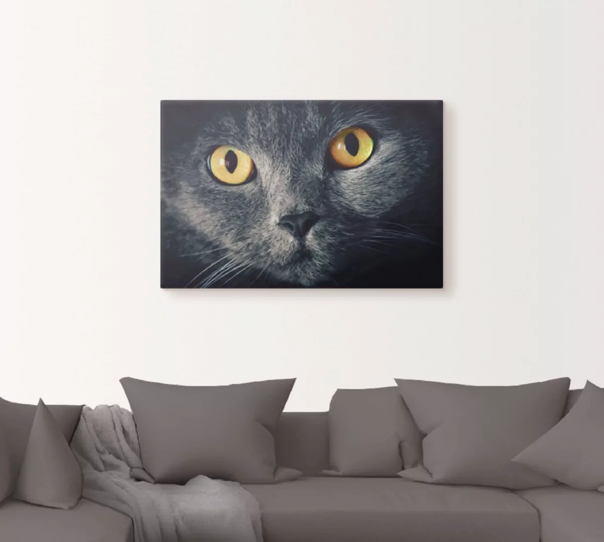 Artland Wandbild "Katzenaugen", Haustiere, (1 St.), als Alubild, Outdoorbil günstig online kaufen