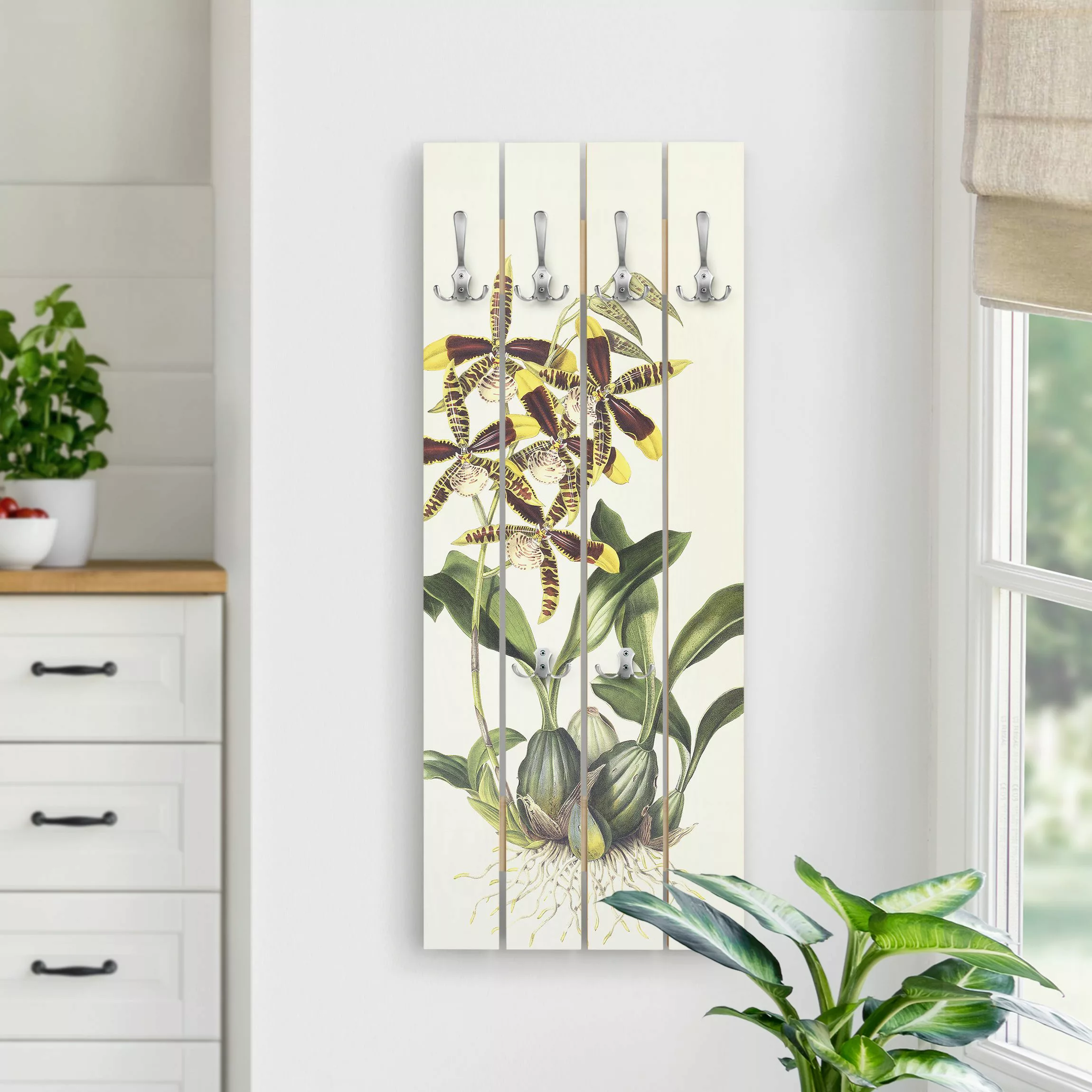 Wandgarderobe Maxim Gauci - Orchidee II günstig online kaufen