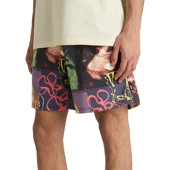 Vans  Badeshorts PRIMARY CRAZY PRINT LO günstig online kaufen