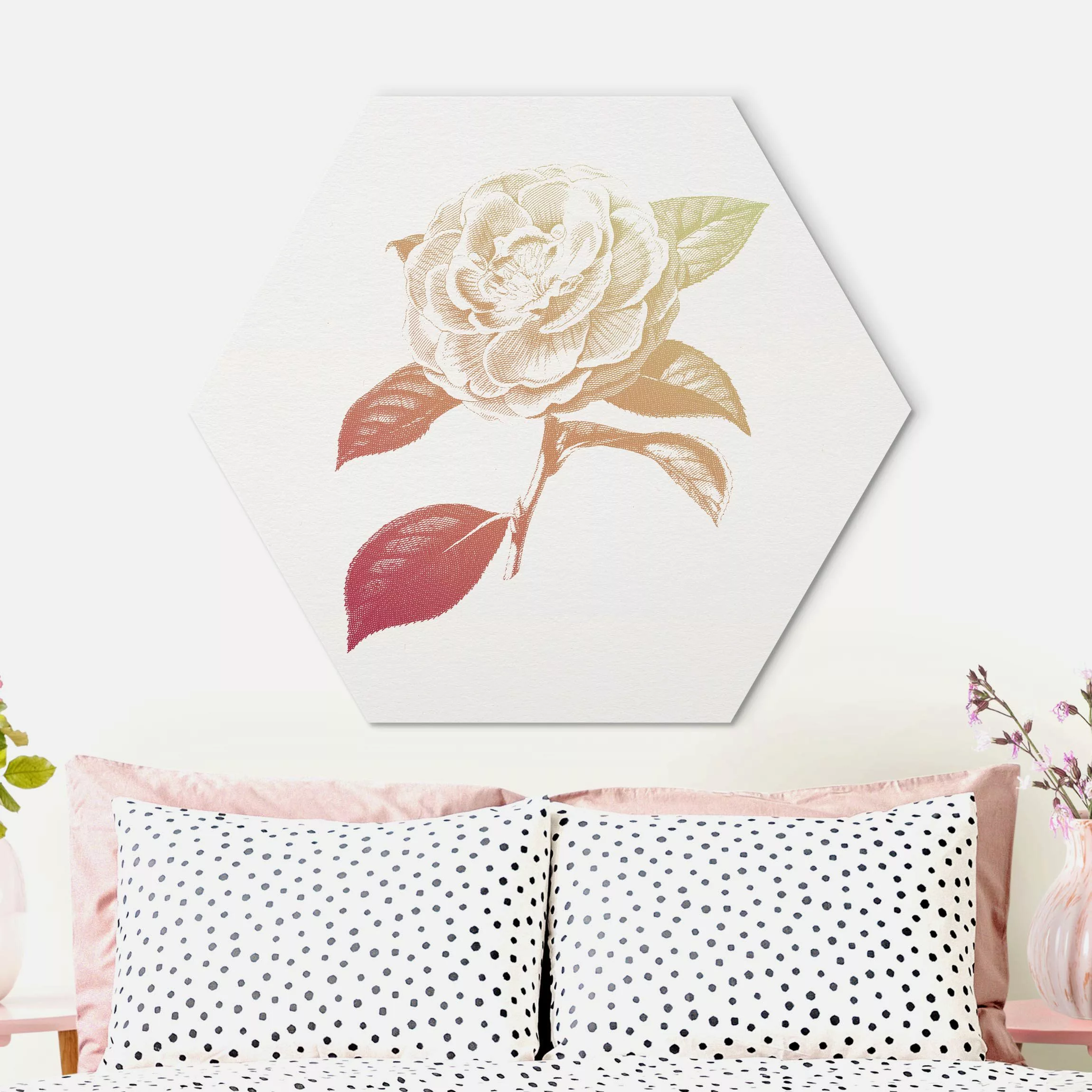 Hexagon-Alu-Dibond Bild Modern Vintage Botanik Rose Rot Grün günstig online kaufen