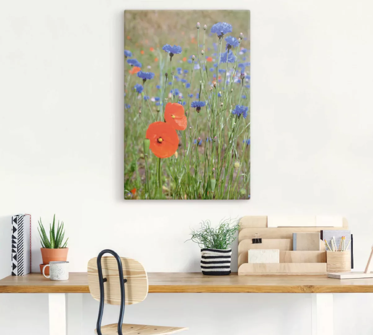 Artland Leinwandbild "Wiese mit Mohnblumen und Kornblumen", Blumen, (1 St.) günstig online kaufen