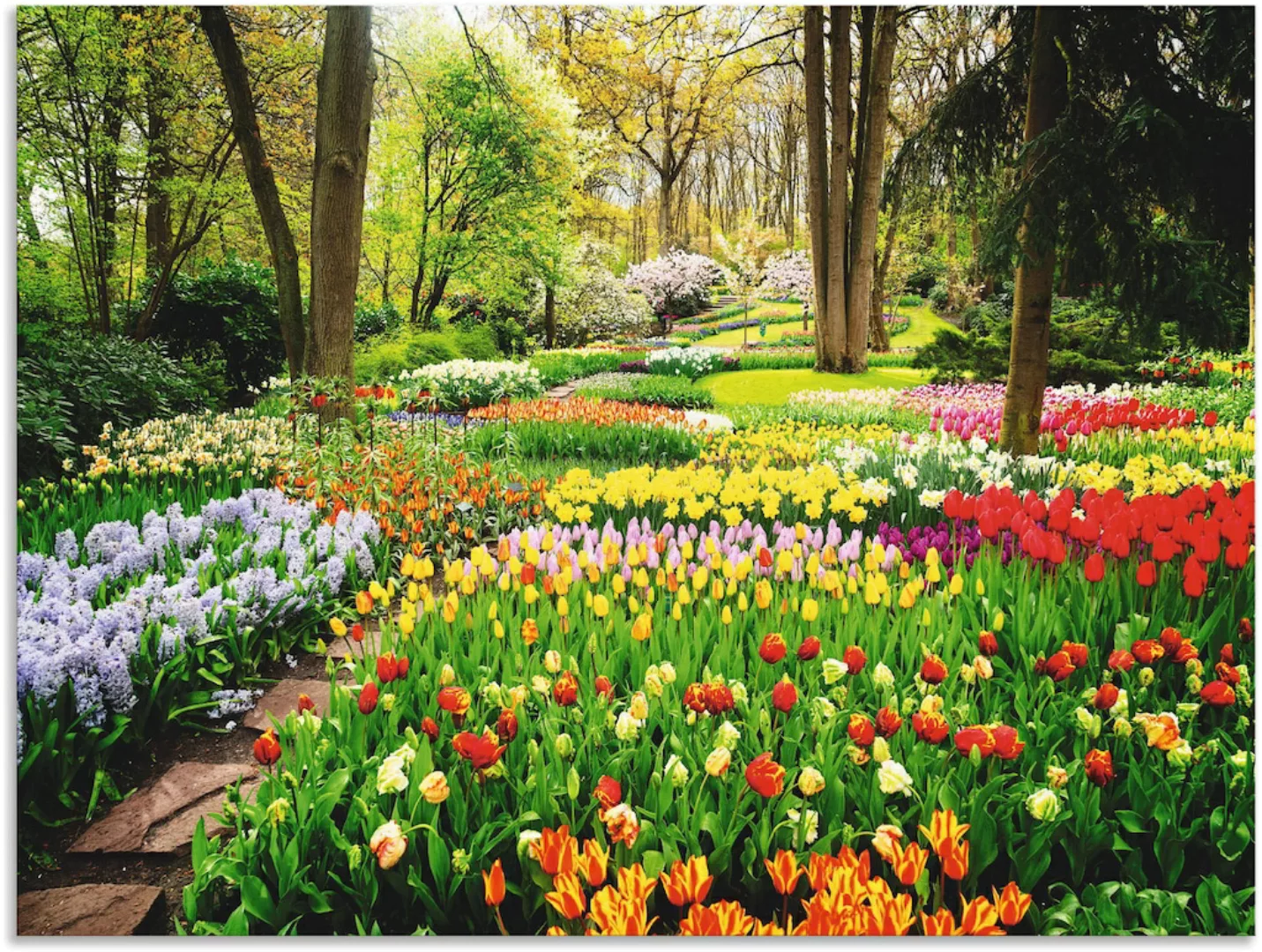 Artland Wandbild "Tulpen Garten Frühling", Blumenwiese, (1 St.), als Alubil günstig online kaufen