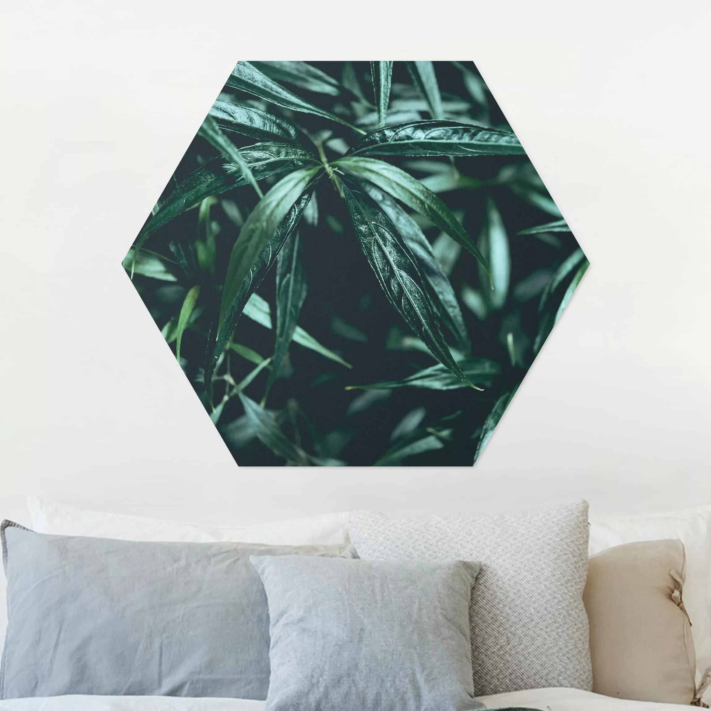 Hexagon-Alu-Dibond Bild Blumen Tropische Pflanzen III günstig online kaufen