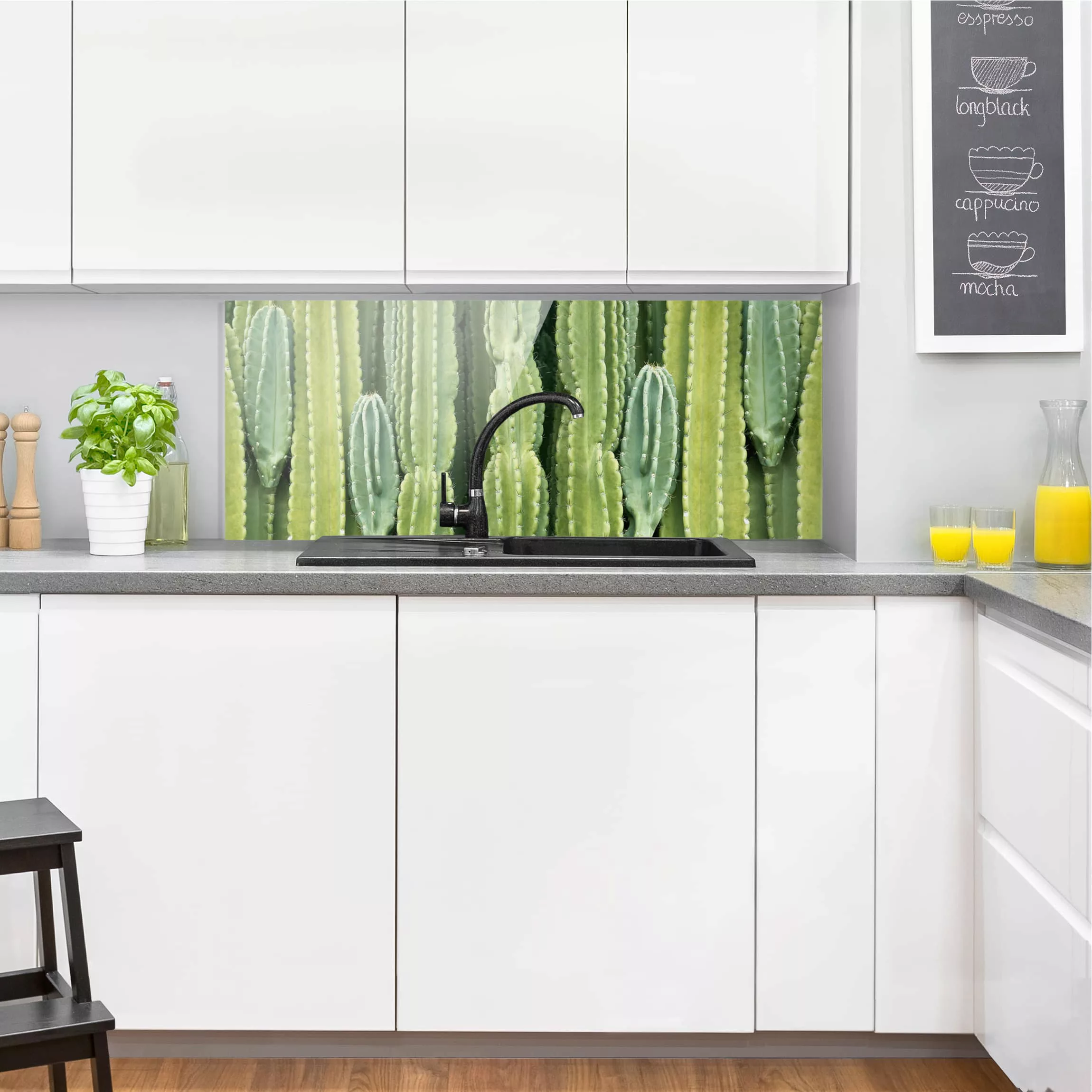 Glas Spritzschutz Botanik & Tropical - Panorama Kaktus Wand günstig online kaufen