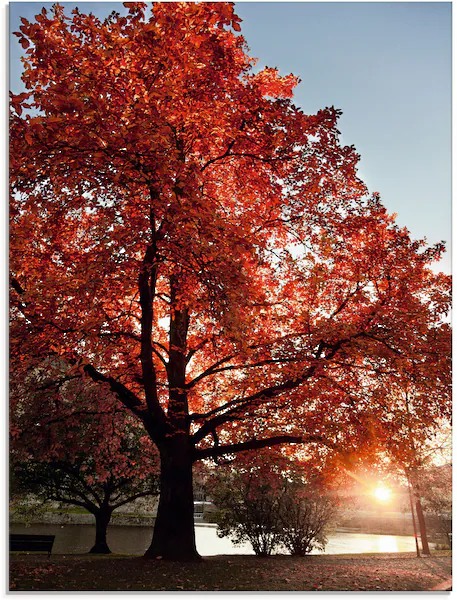 Artland Glasbild "Herbstbaum", Bäume, (1 St.), in verschiedenen Größen günstig online kaufen