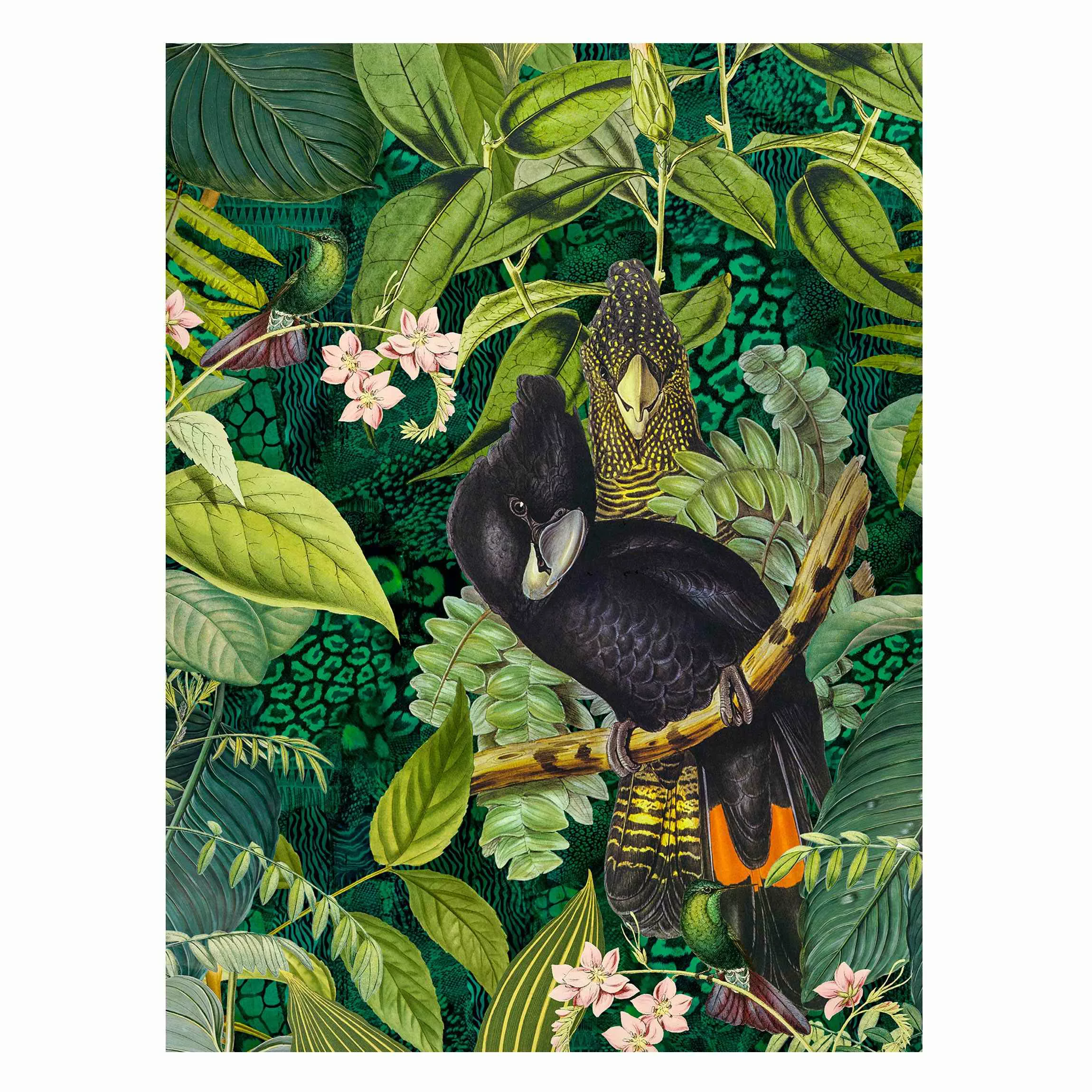 Magnettafel Bunte Collage - Kakadus im Dschungel günstig online kaufen