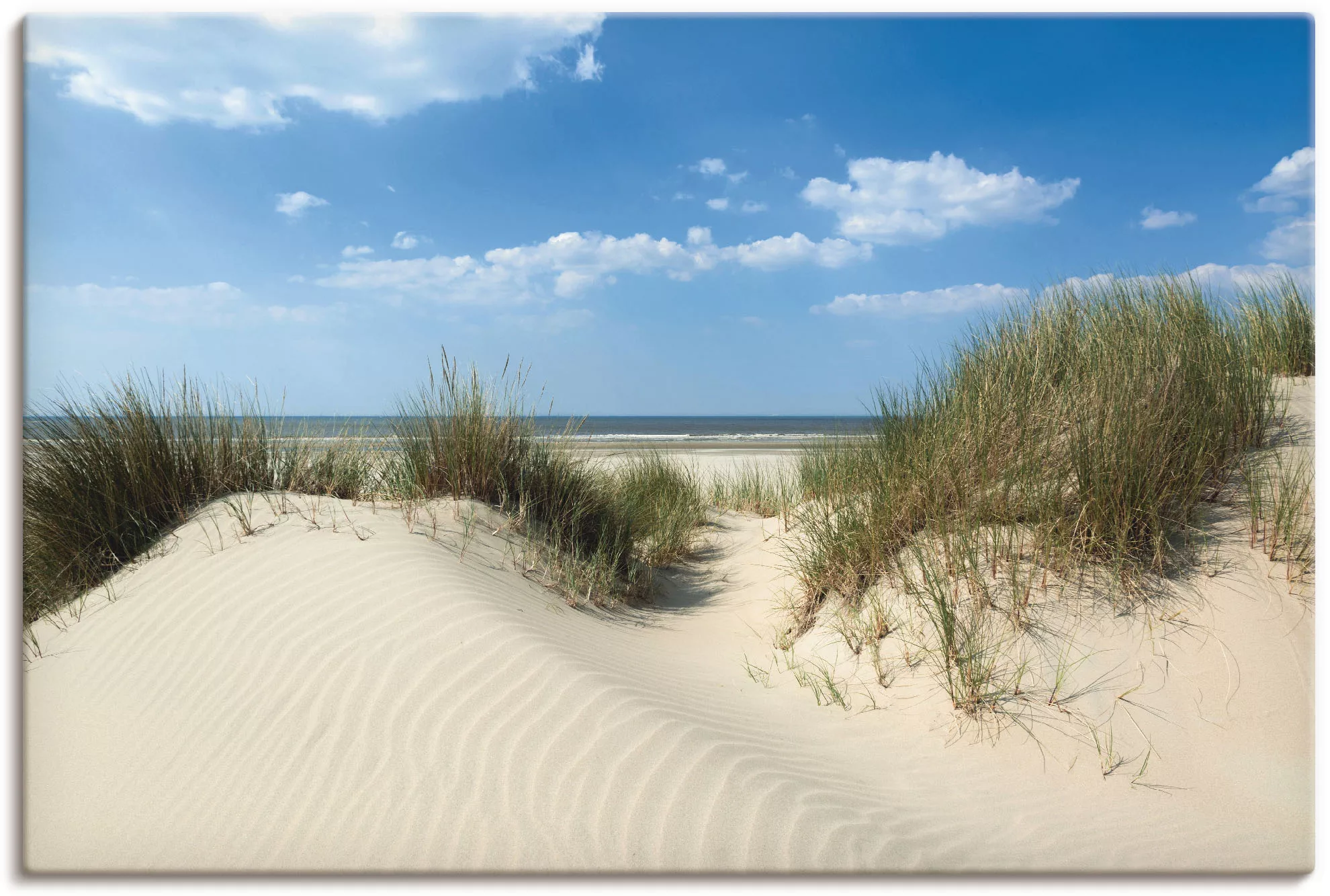 Artland Wandbild "Düne mit Meeresblick", Strand, (1 St.), als Alubild, Outd günstig online kaufen