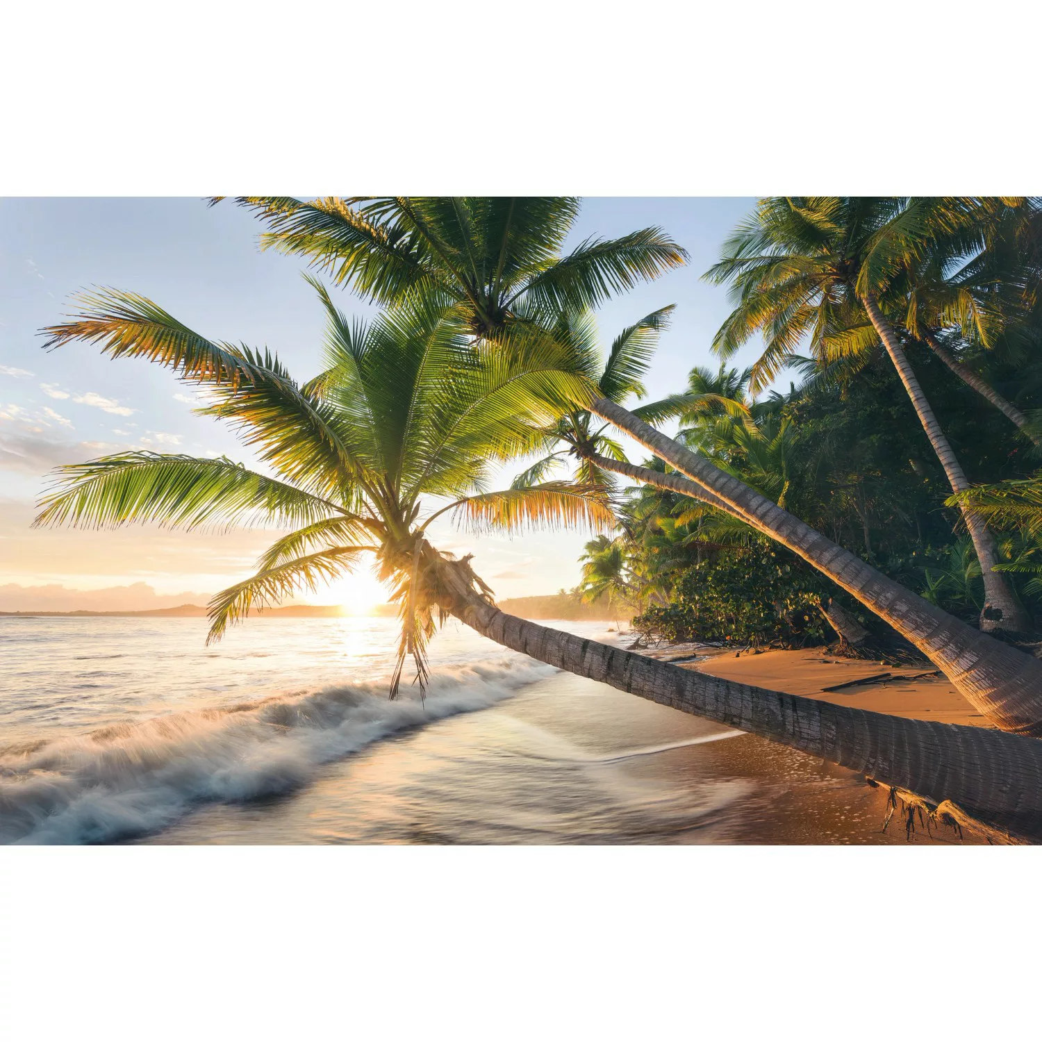 KOMAR Vlies Fototapete - Strandgeheimnis - Größe 450 x 280 cm mehrfarbig günstig online kaufen