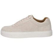 Calvin Klein Clean Cup Low Laceup Oxfsu Herren beige günstig online kaufen
