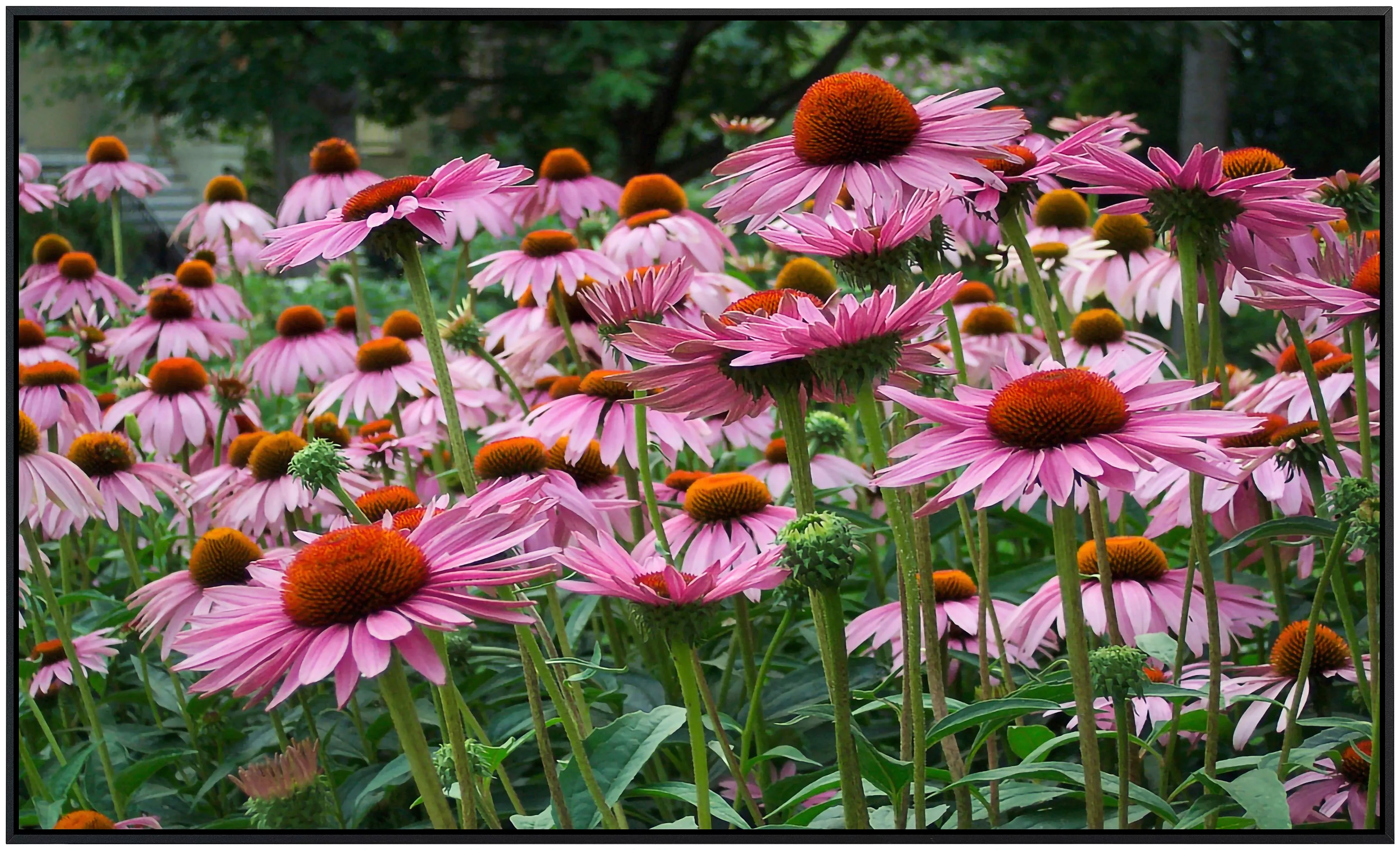 Papermoon Infrarotheizung »Sommerblumen« günstig online kaufen