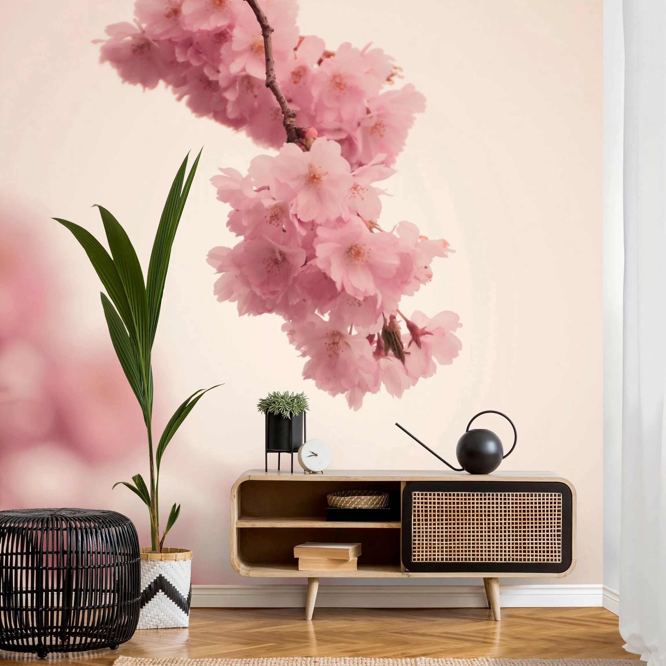 Fototapete Zartrosane Frühlingsblüte mit Bokeh günstig online kaufen