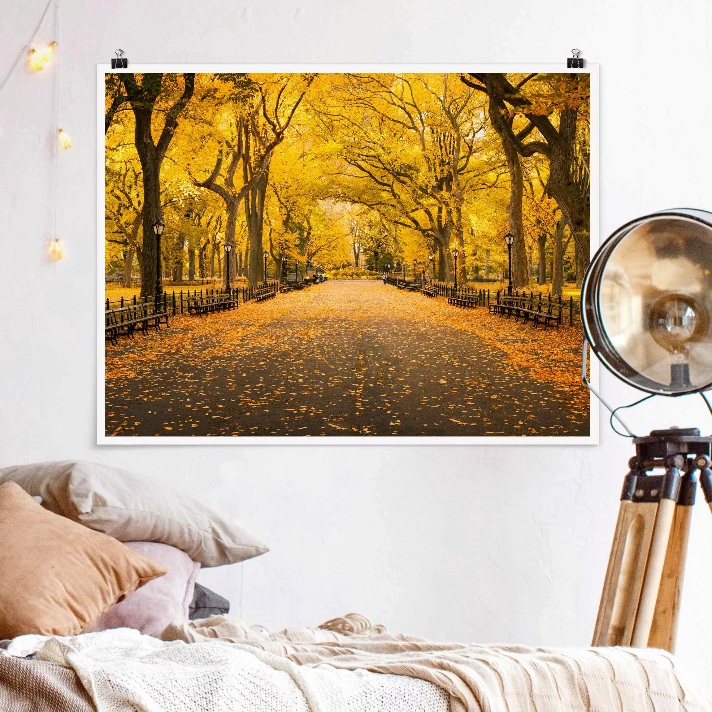 Poster Herbst im Central Park günstig online kaufen