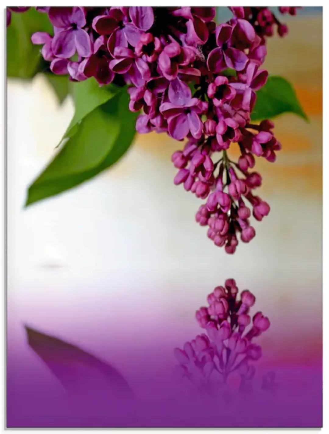 Artland Glasbild »Flieder«, Blumen, (1 St.) günstig online kaufen