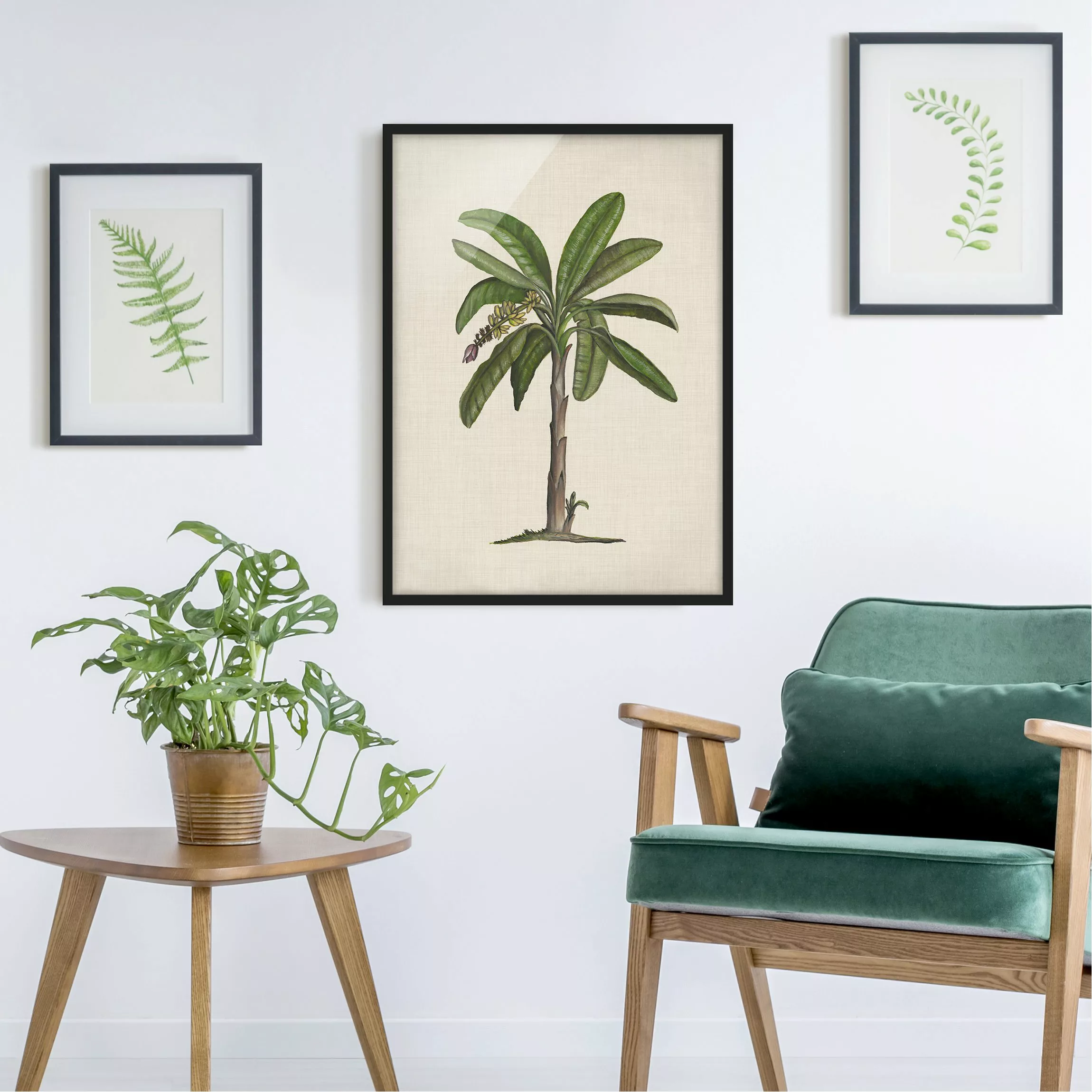 Bild mit Rahmen Blumen - Hochformat Britische Palmen II günstig online kaufen