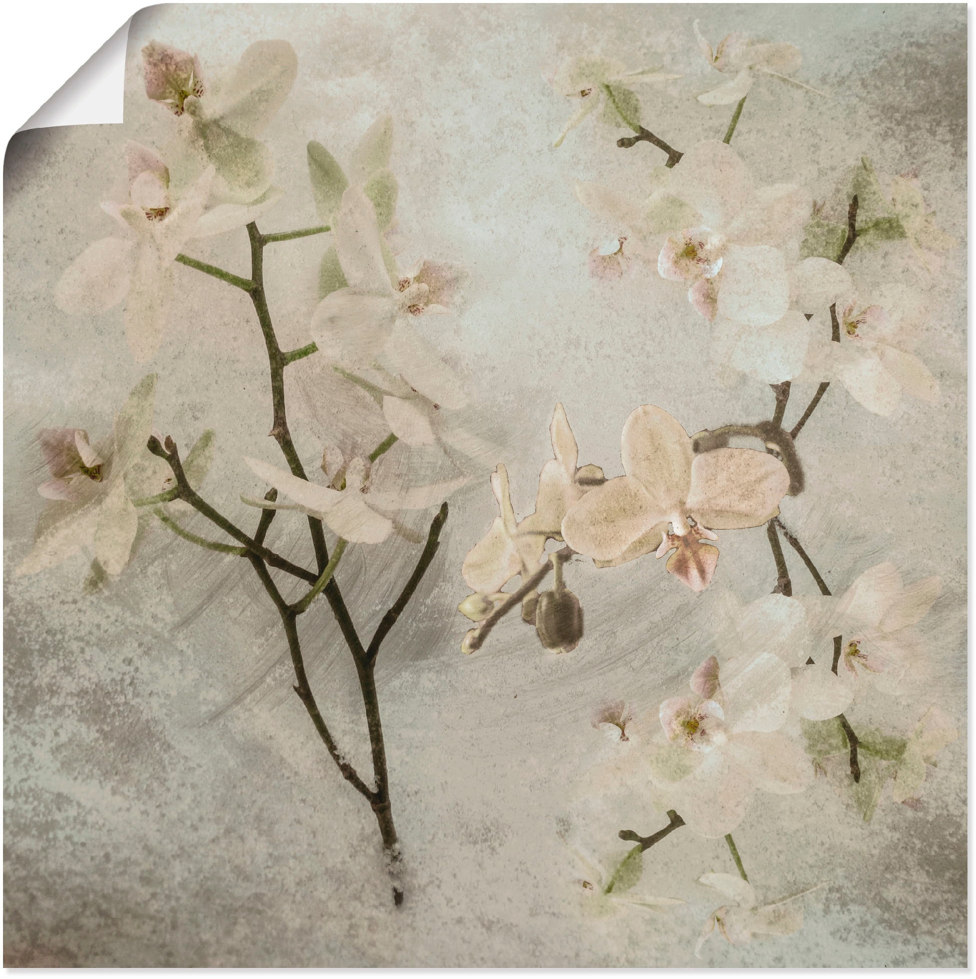 Artland Wandbild "Orchideen", Blumen, (1 St.), als Leinwandbild, Poster, Wa günstig online kaufen