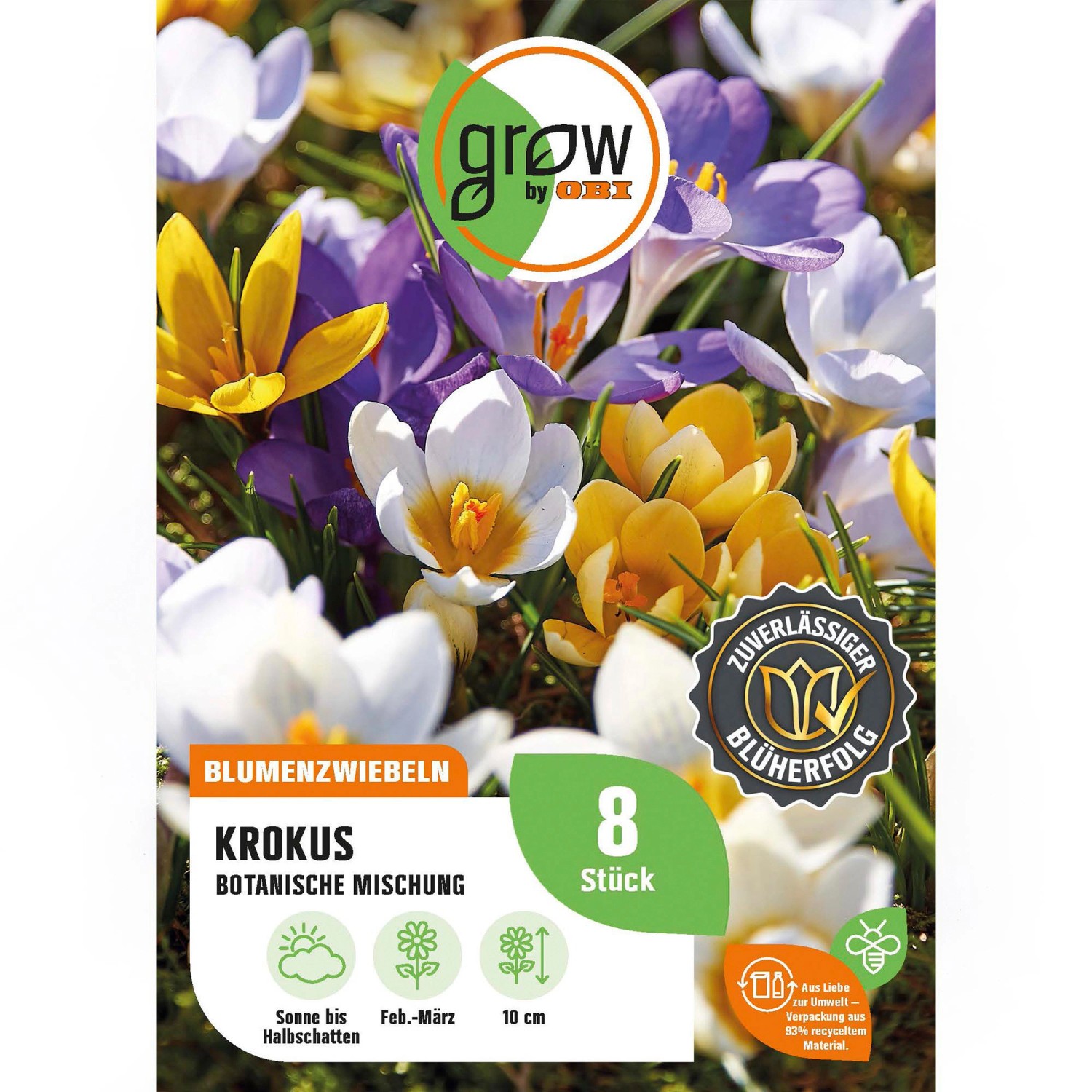 GROW by OBI Krokus Botanische Mischung 8 Stück Crocus botanical Mixed günstig online kaufen