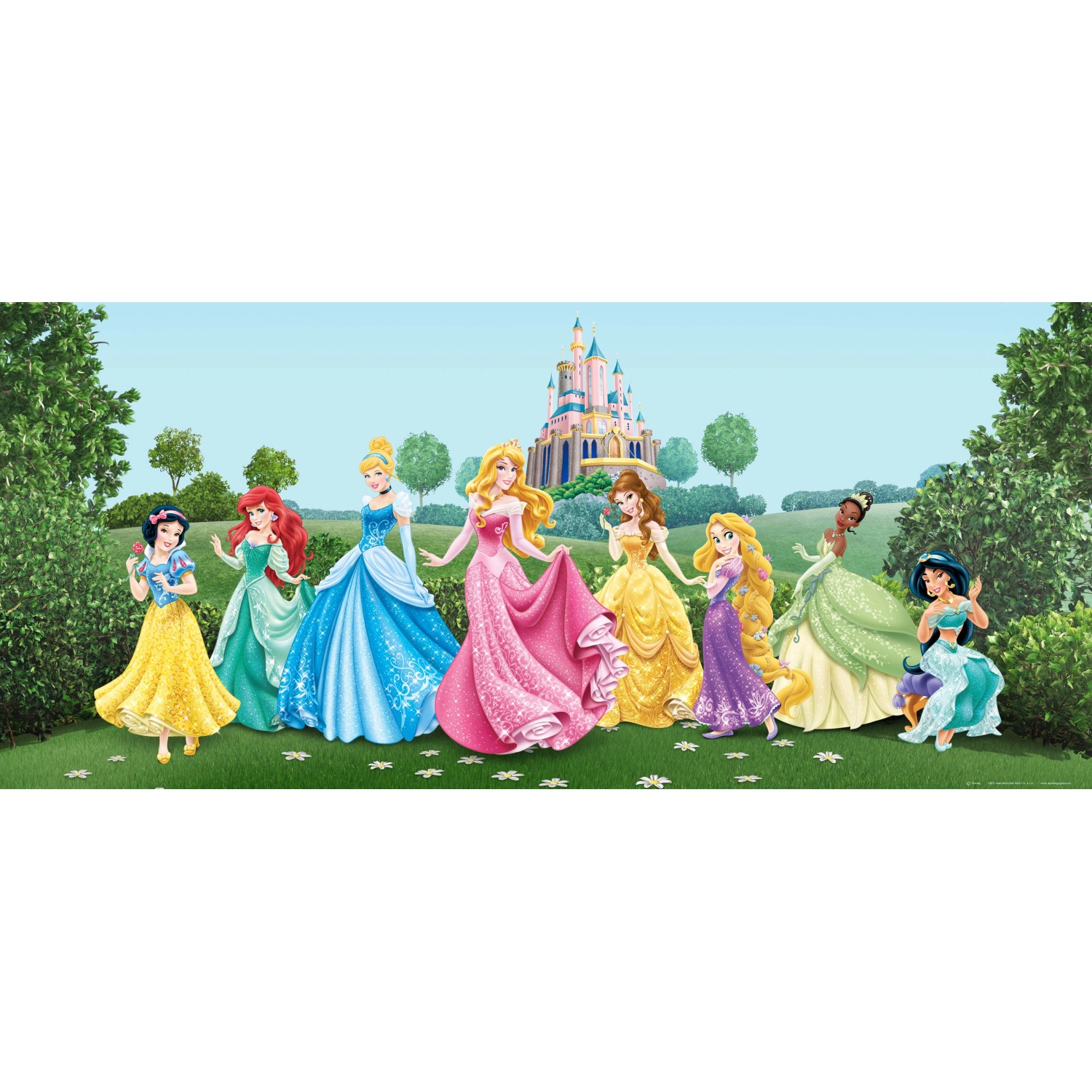 Disney Poster Prinzessinnen Grün Blau und Rosa 202 x 90 cm 600873 günstig online kaufen