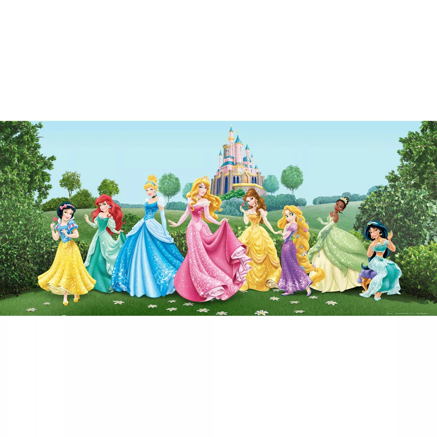 Disney Poster Prinzessinnen Grün Blau und Rosa 202 x 90 cm 600873 günstig online kaufen