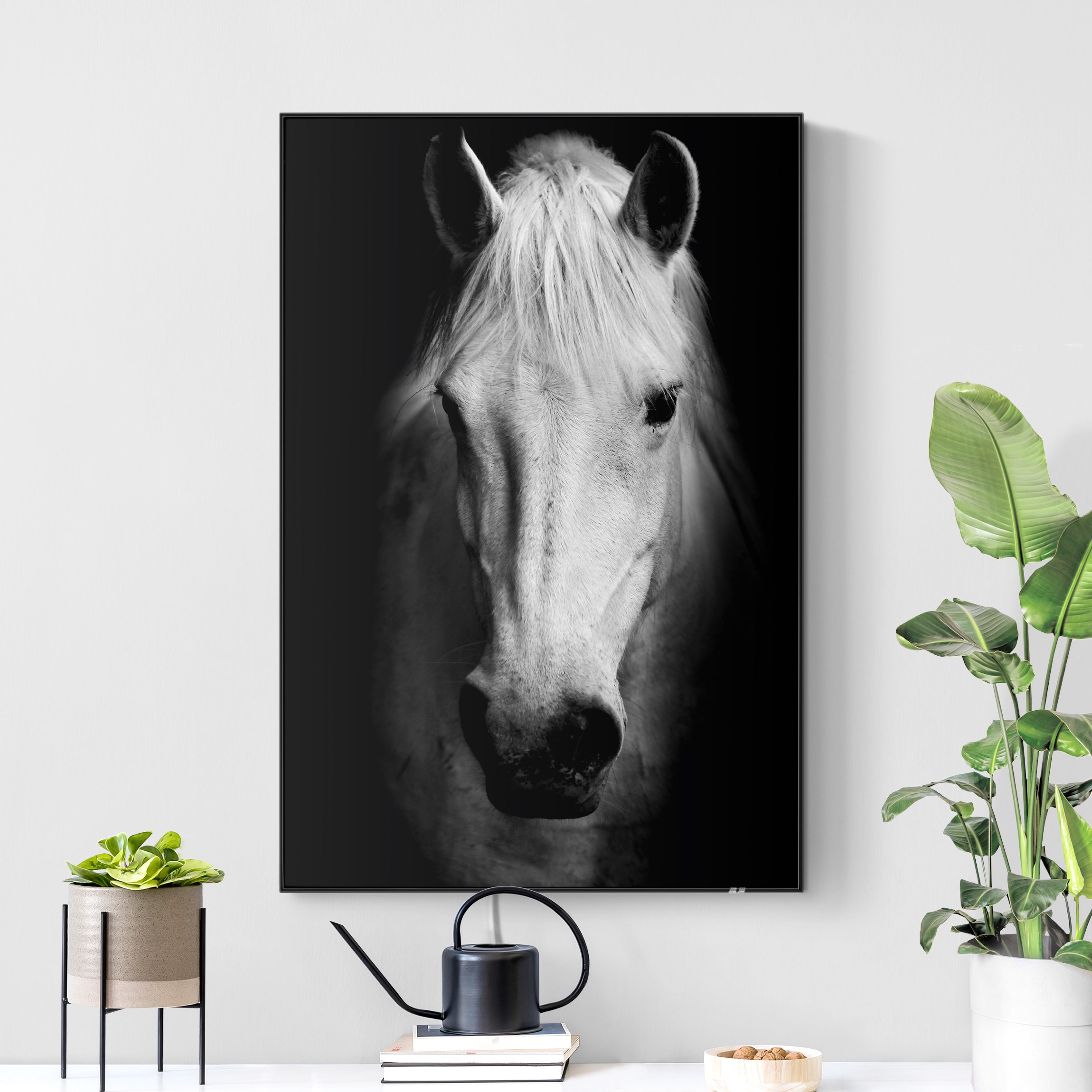 LED-Wechselbild Dream of a Horse günstig online kaufen