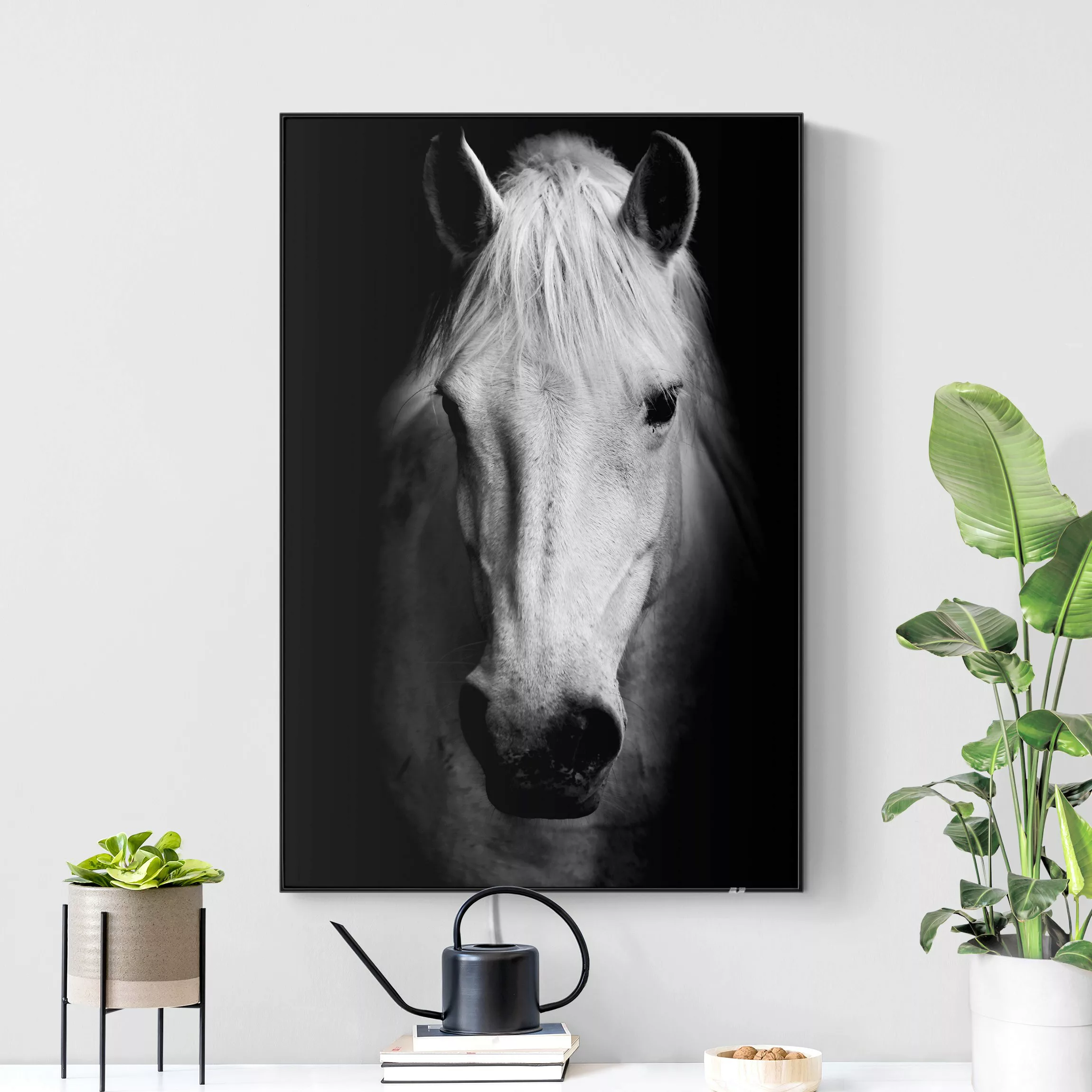 LED-Wechselbild Dream of a Horse günstig online kaufen