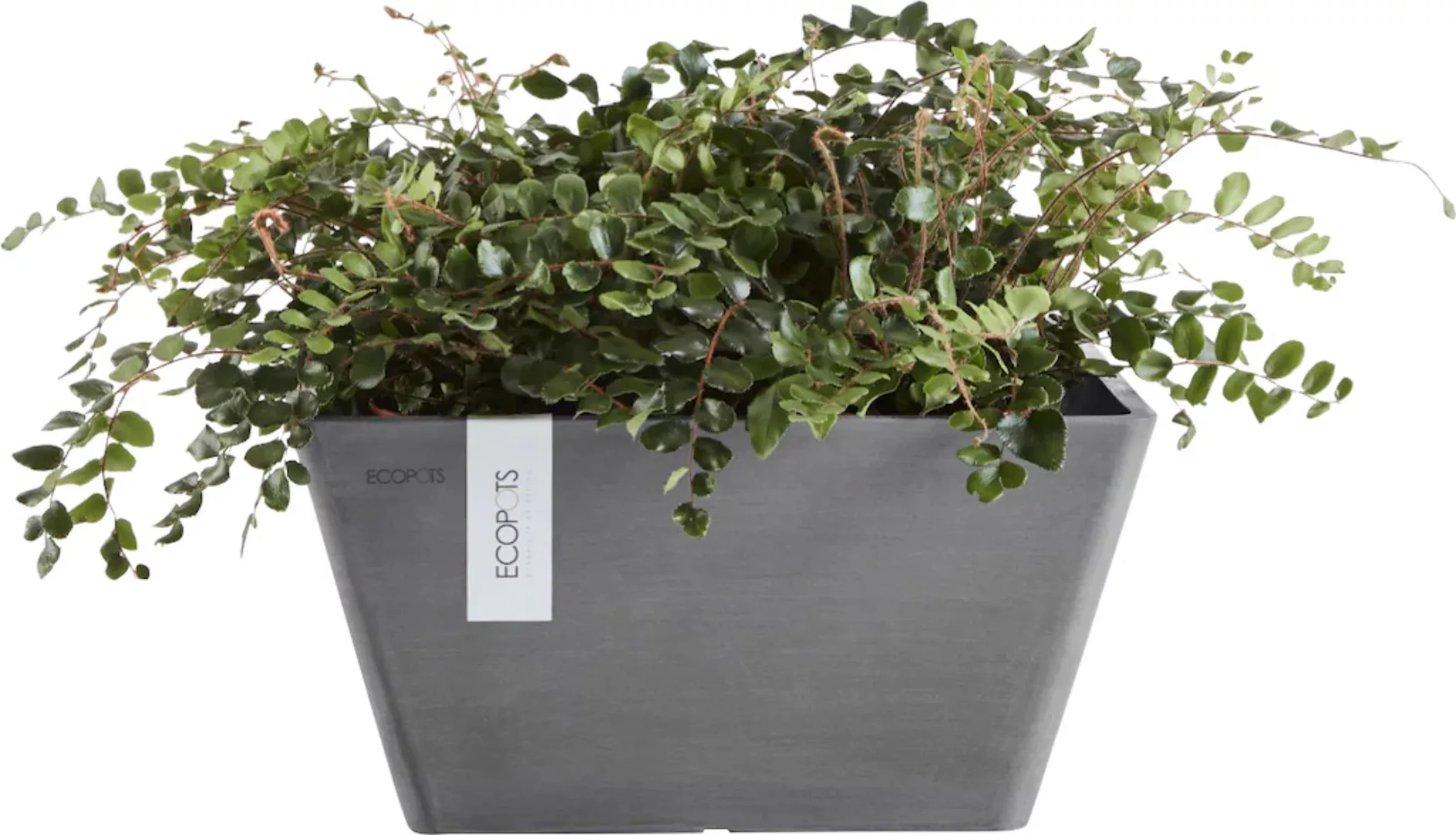 ECOPOTS Blumentopf "BERLIN Grey", BxTxH: 41x41x18 cm günstig online kaufen