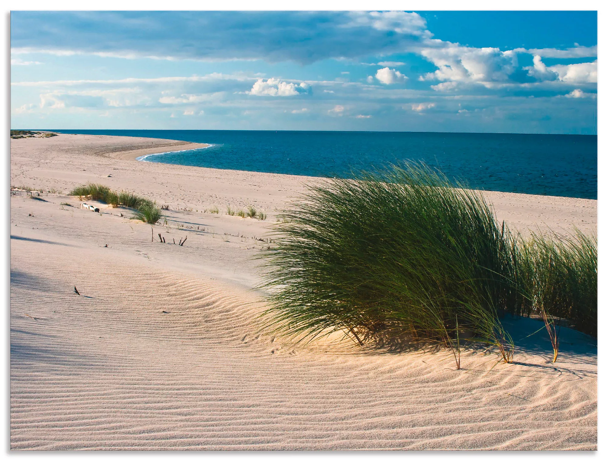 Artland Wandbild "Gras am Strand", Strand, (1 St.), als Alubild, Outdoorbil günstig online kaufen