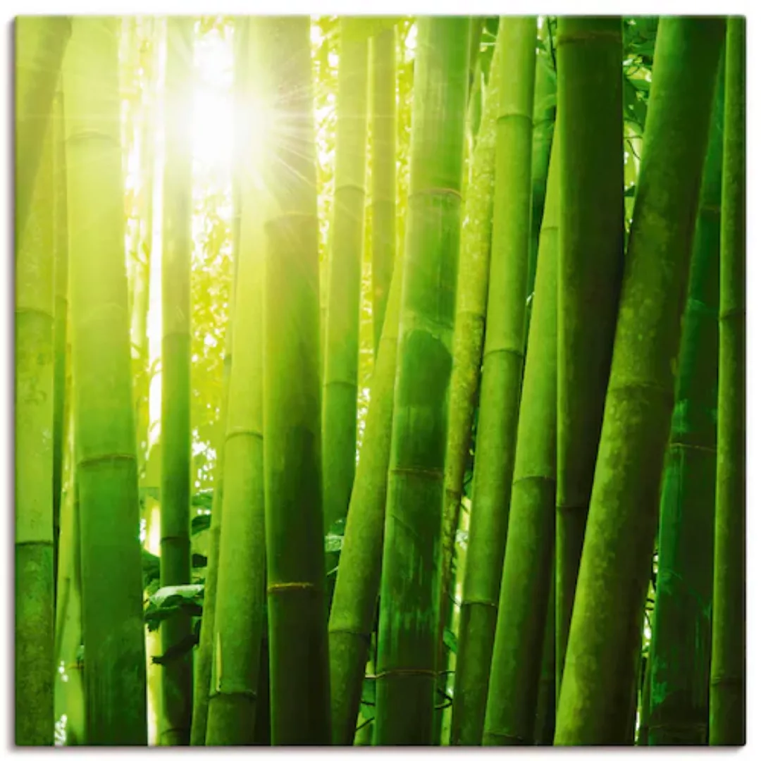 Artland Leinwandbild »Asiatischer Bambuswald im Morgenlicht«, Gräser, (1 St günstig online kaufen