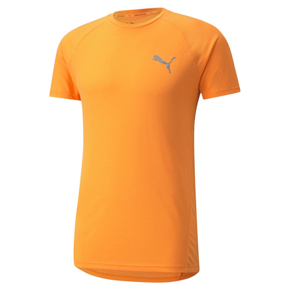 Puma Evostripe Kurzarm T-shirt M Orange Glow günstig online kaufen