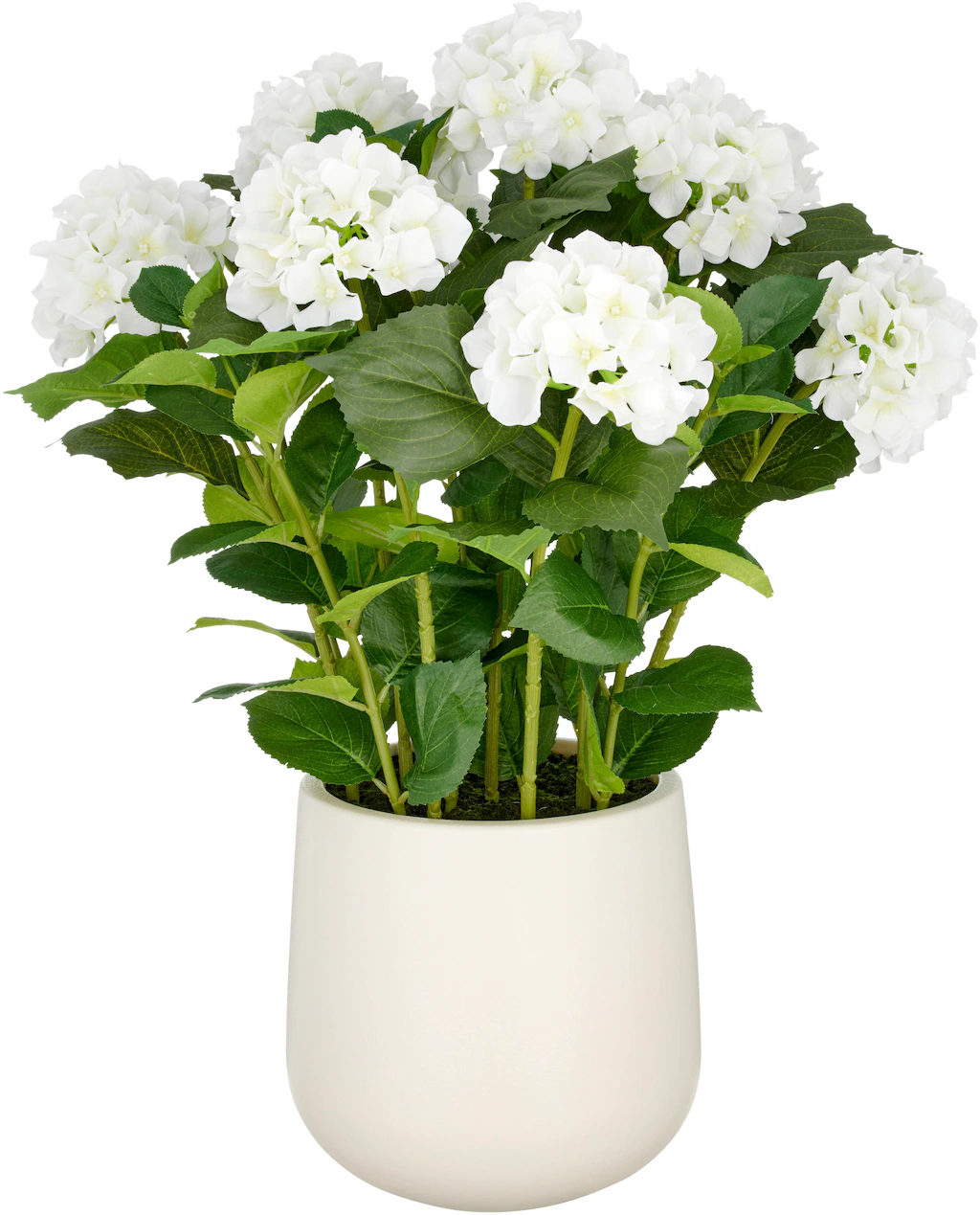 Creativ green Kunstpflanze "Hortensie", im eleganten Topf günstig online kaufen