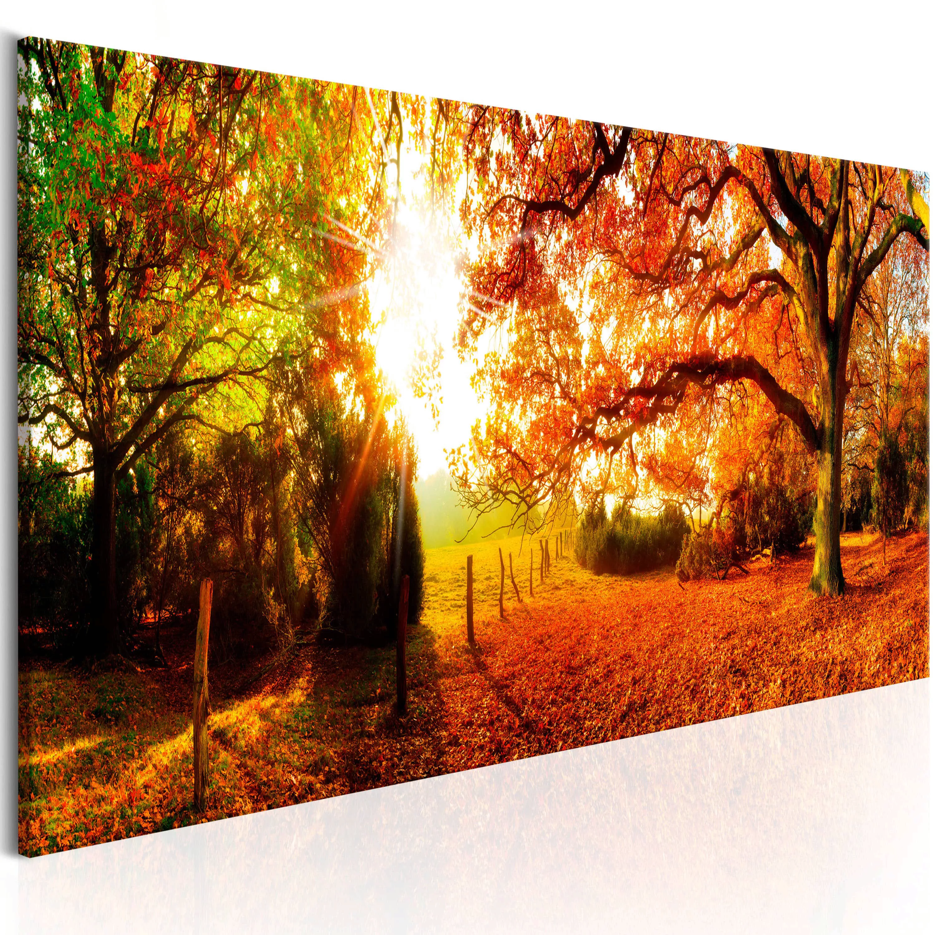Wandbild - Magic of Autumn günstig online kaufen